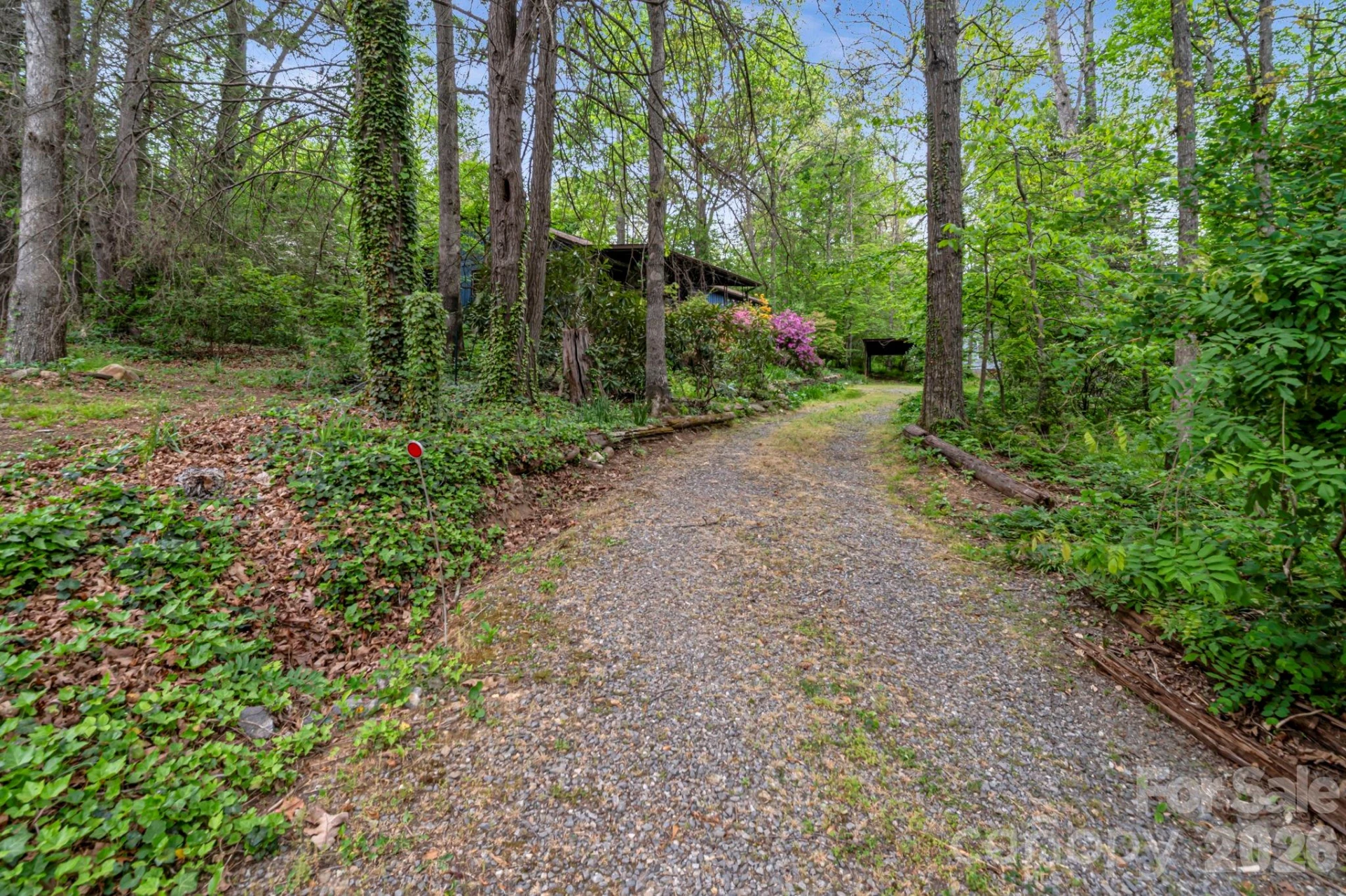 257 Pine Street - Photo 24