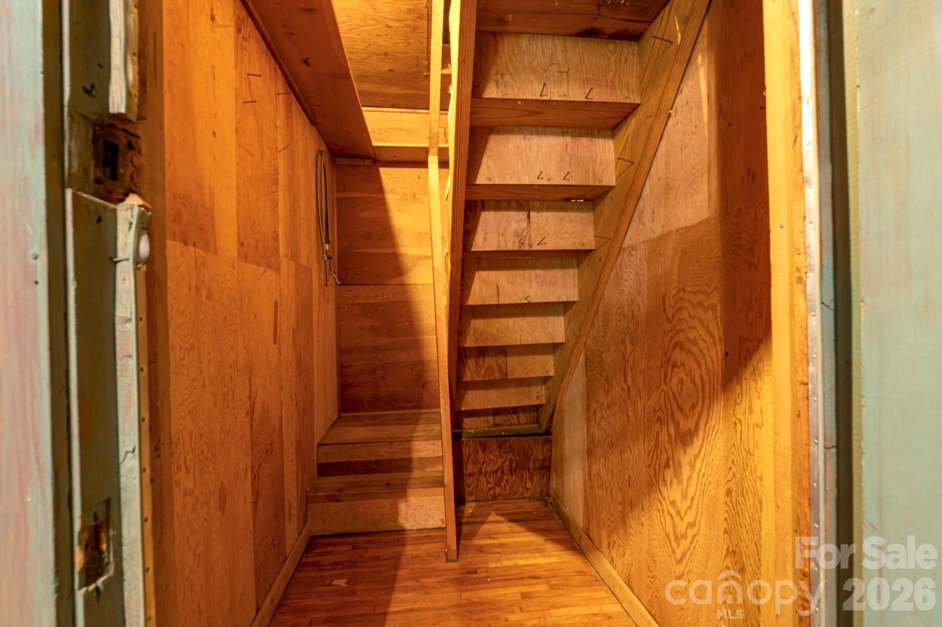 257 Pine Street - Photo 7