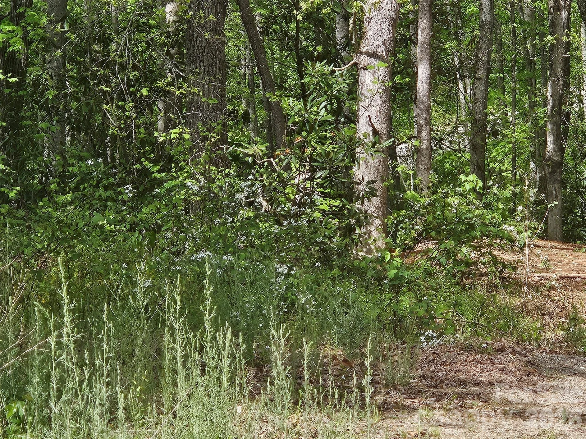 22 Graulich Lane #6 - Photo 4