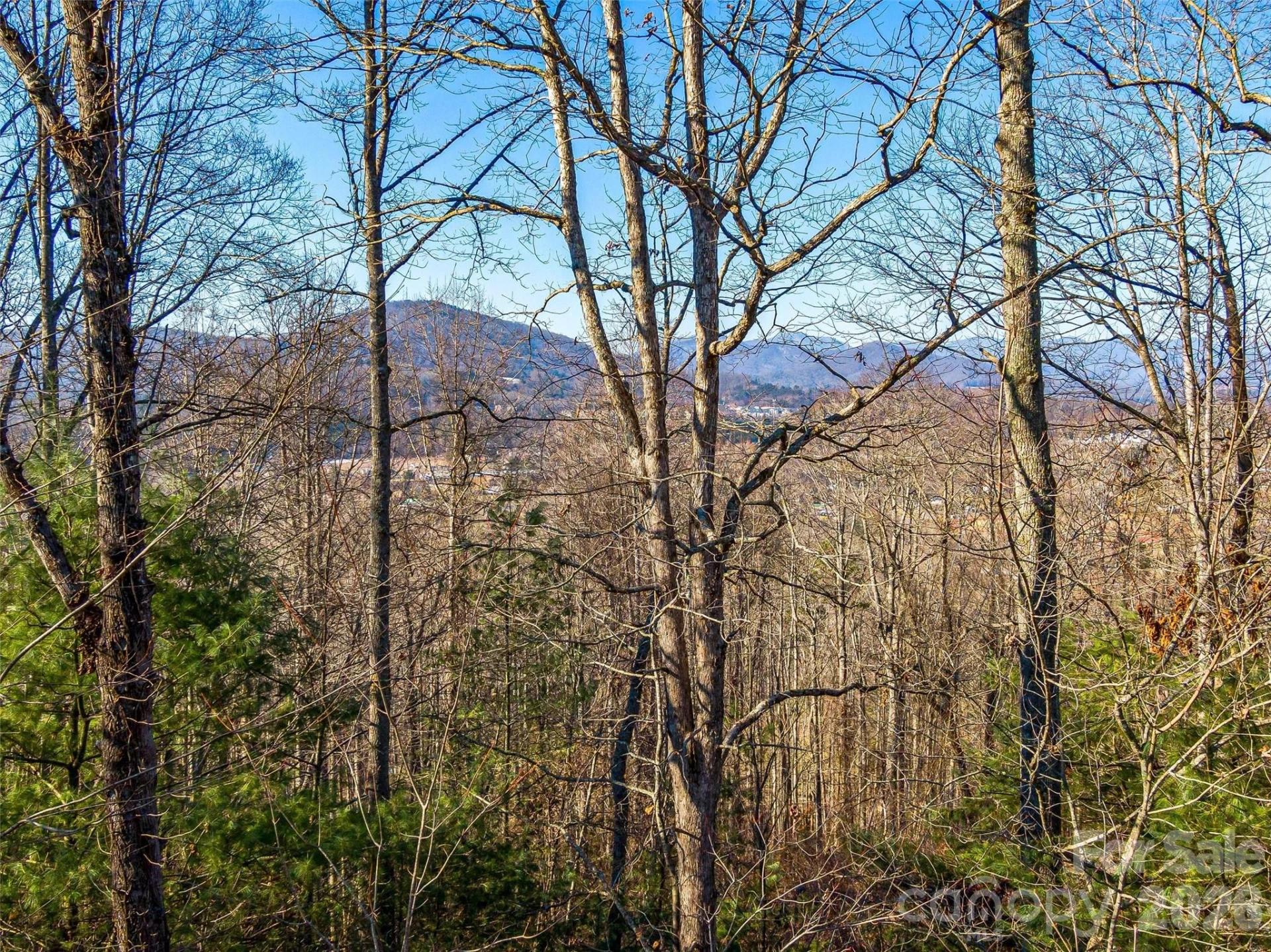 92 Chimney Crest Drive - Photo 2