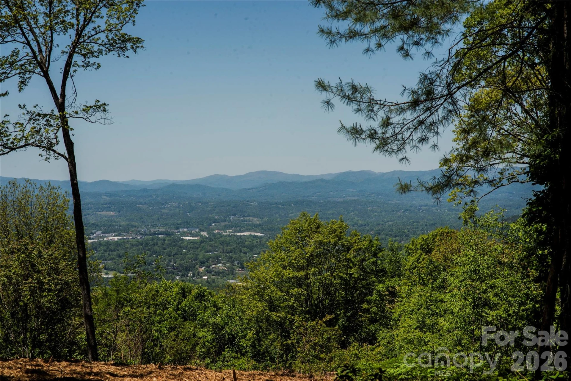 700 Elk Mountain Scenic Highway - Photo 13