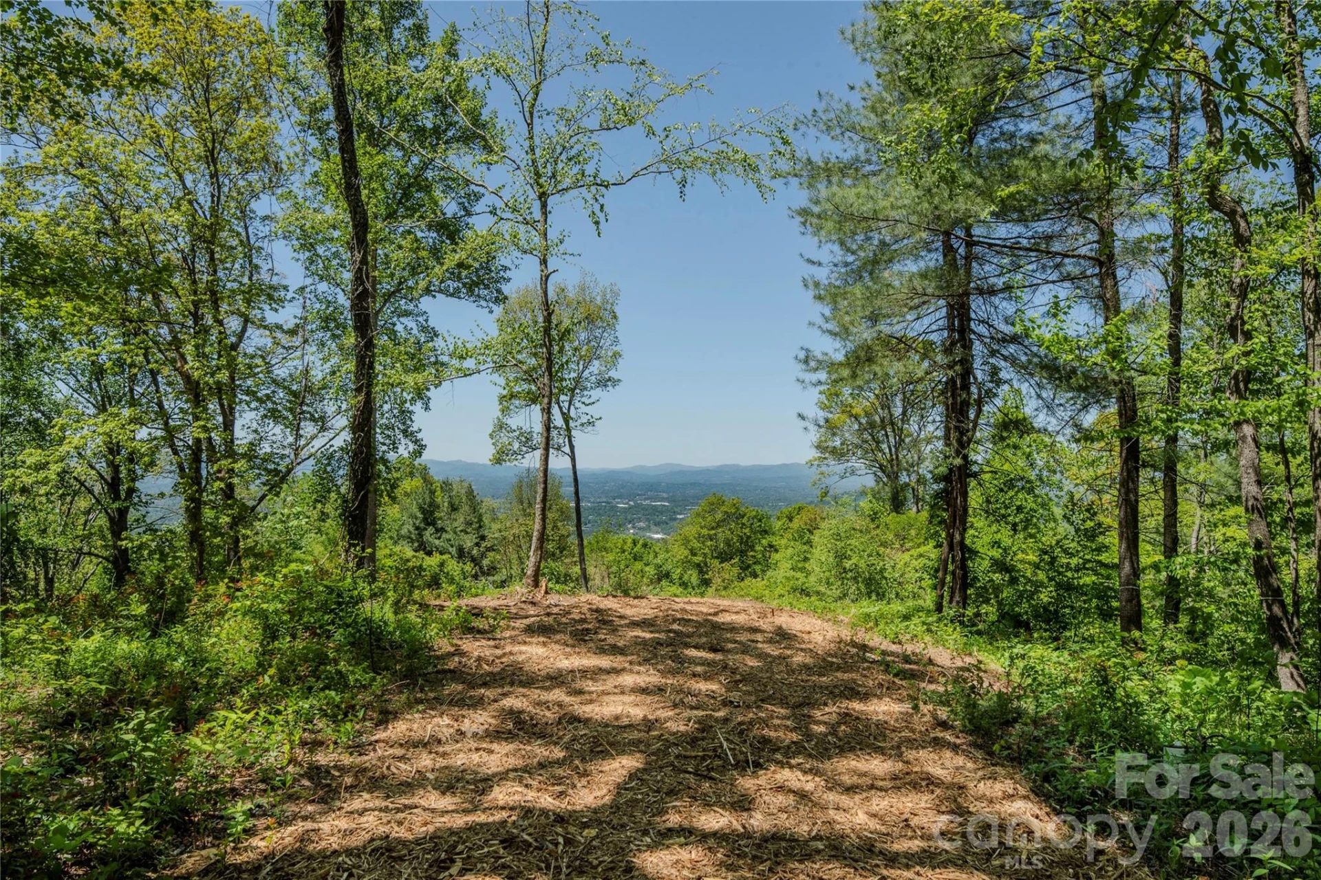 700 Elk Mountain Scenic Highway - Photo 14