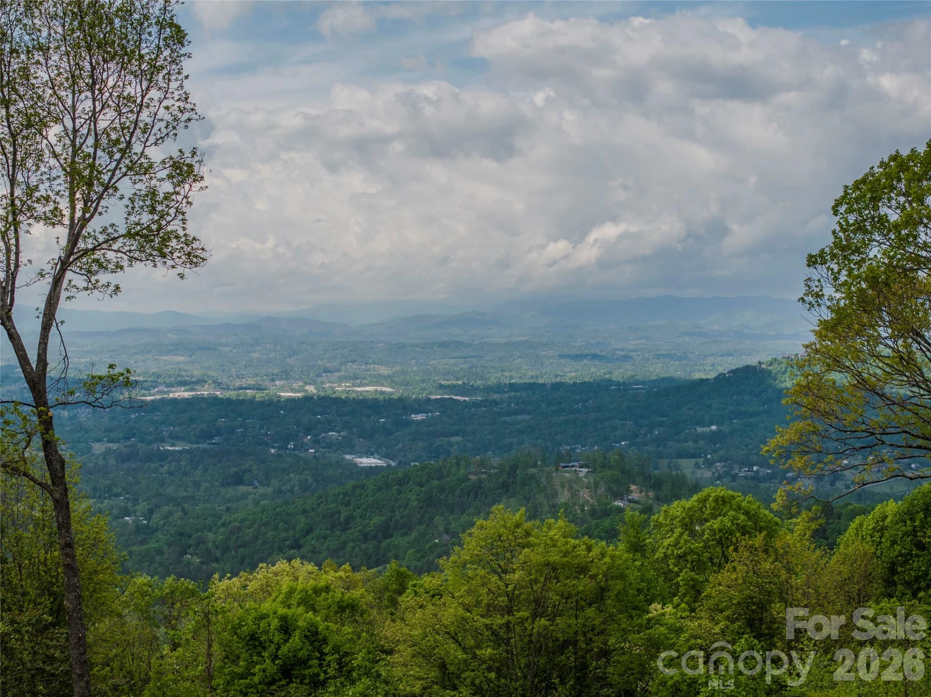 700 Elk Mountain Scenic Highway - Photo 15