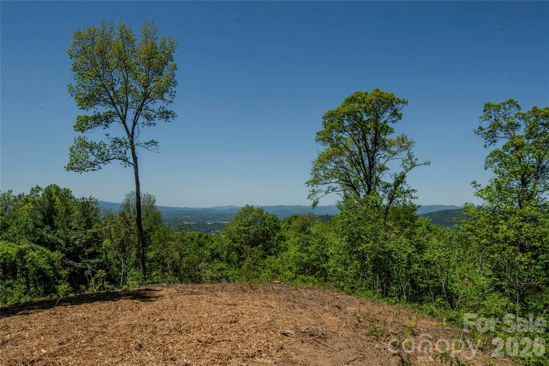 700 Elk Mountain Scenic Highway - Photo 5