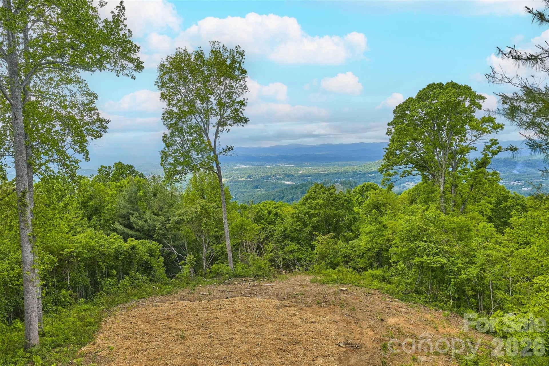 700 Elk Mountain Scenic Highway - Photo 6