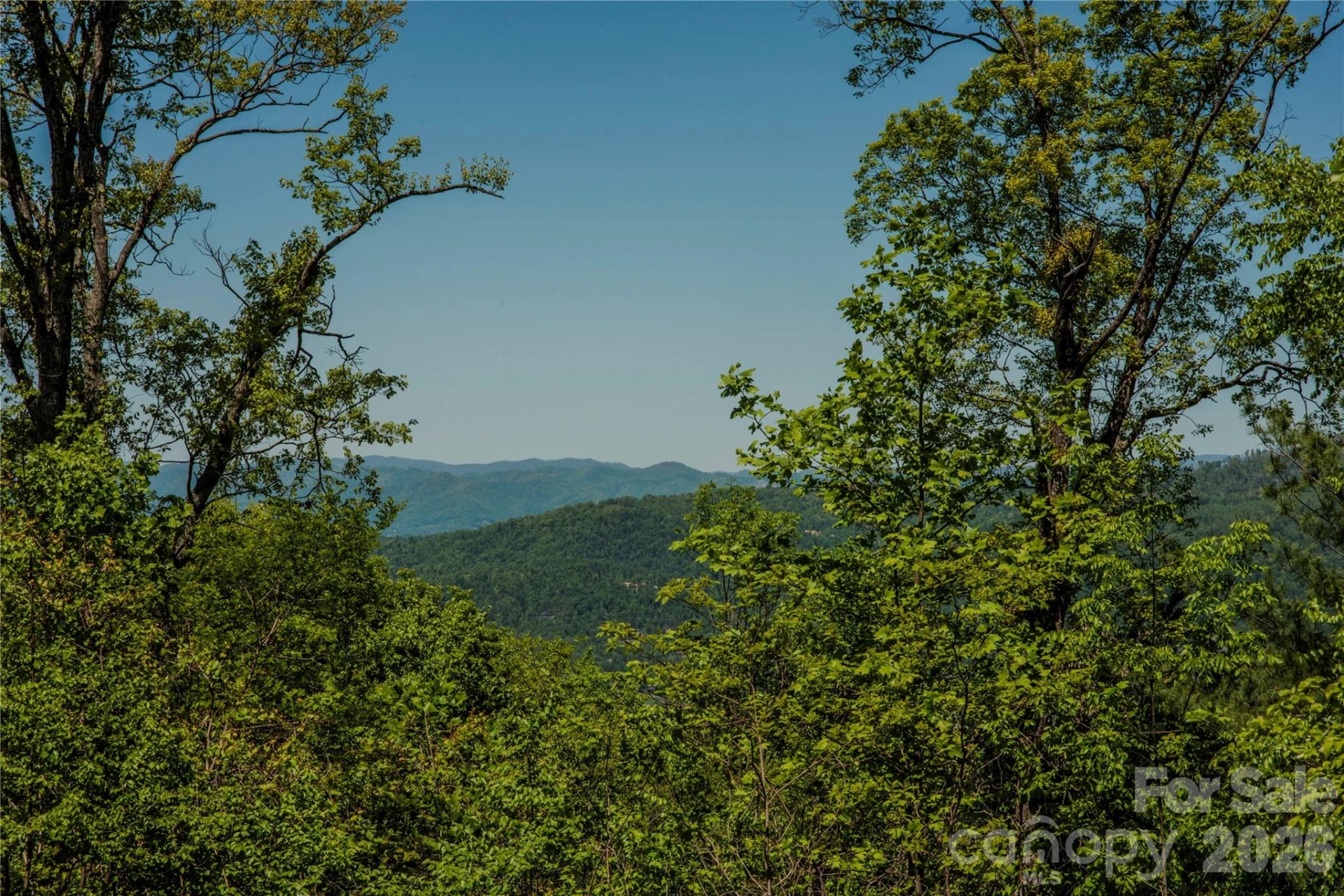 700 Elk Mountain Scenic Highway - Photo 8