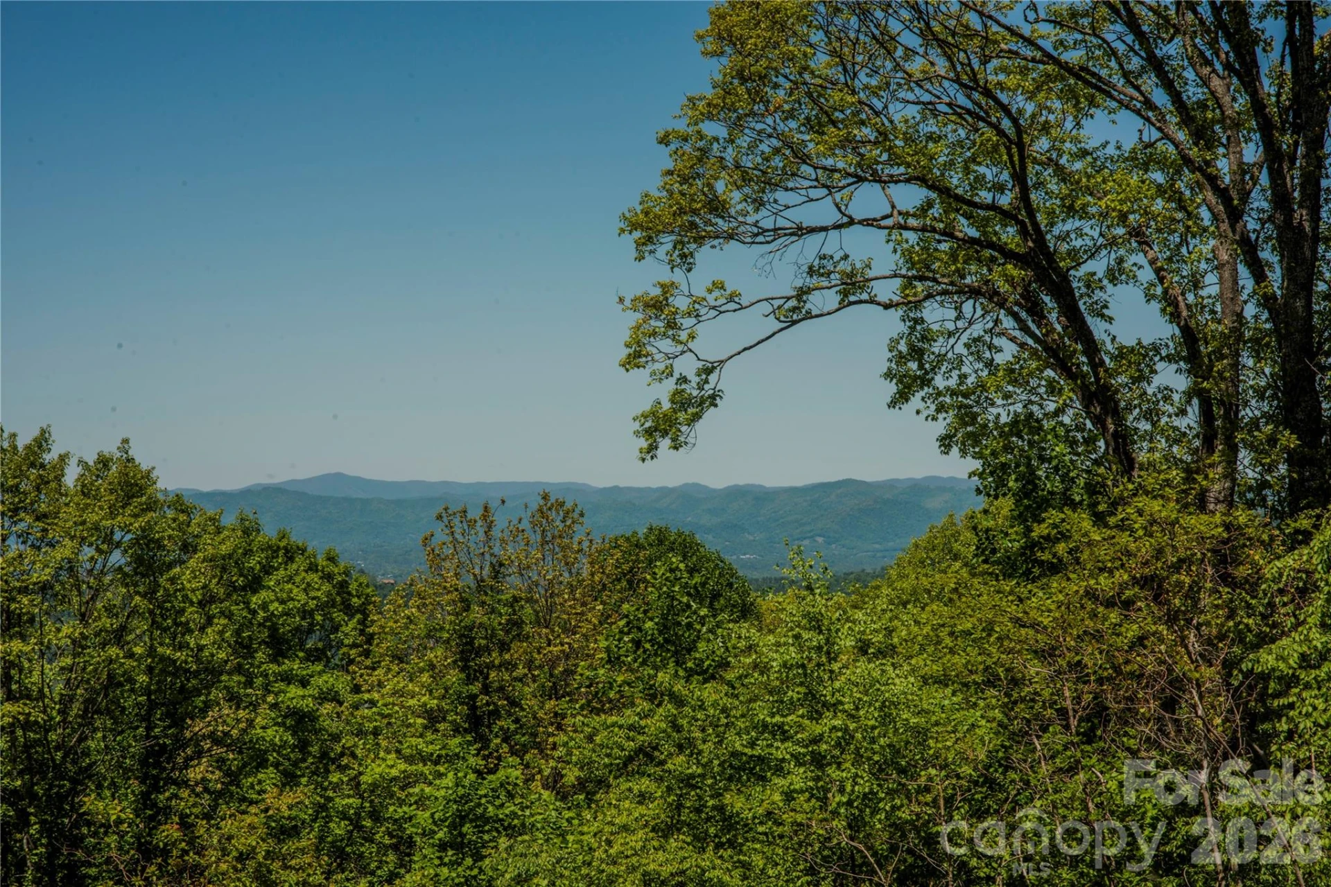 700 Elk Mountain Scenic Highway - Photo 9