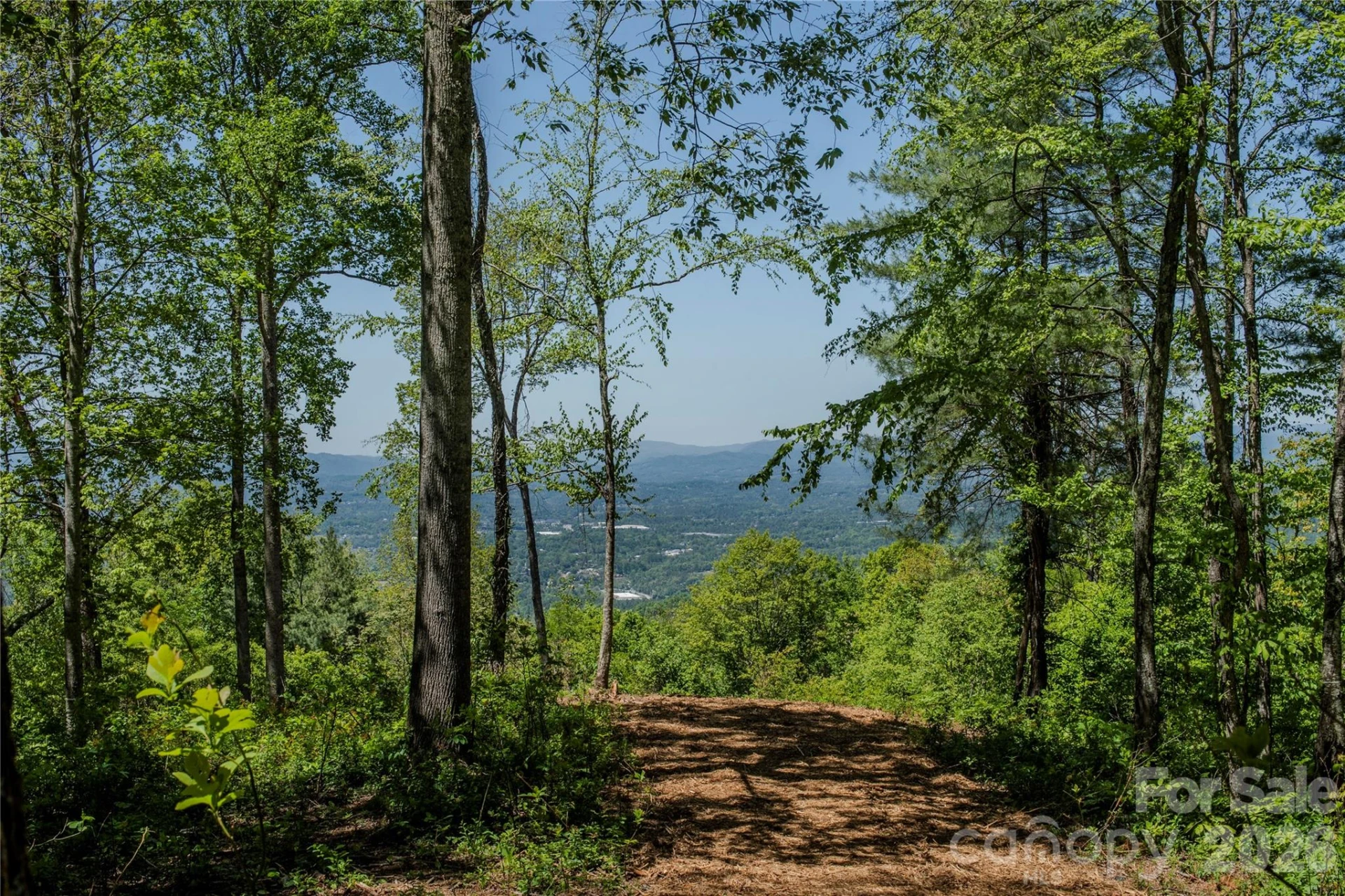 700 Elk Mountain Scenic Highway - Photo 10