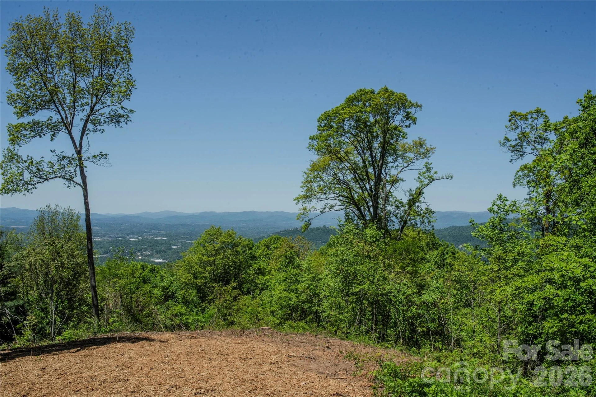 700 Elk Mountain Scenic Highway - Photo 11