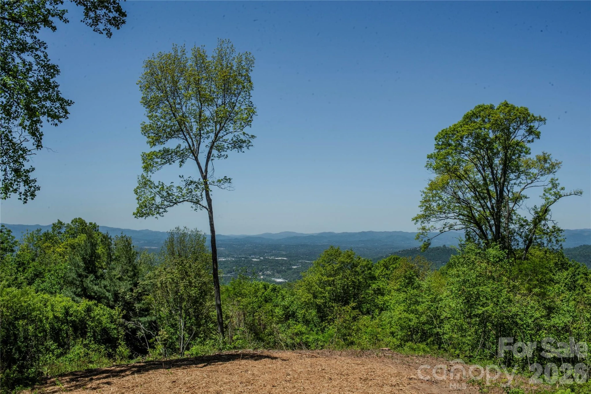 700 Elk Mountain Scenic Highway - Photo 12