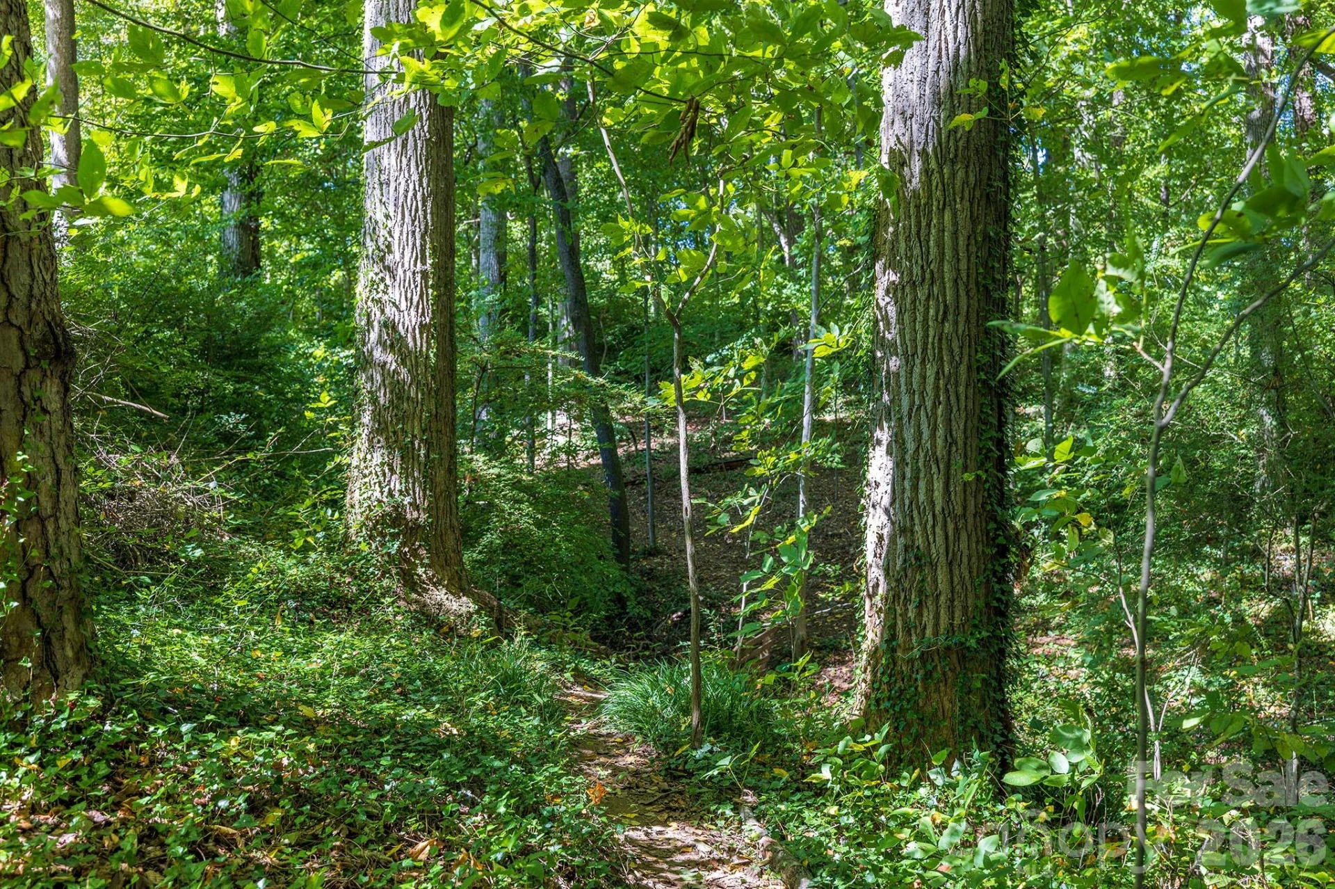 63 Orrinel Way - Photo 43