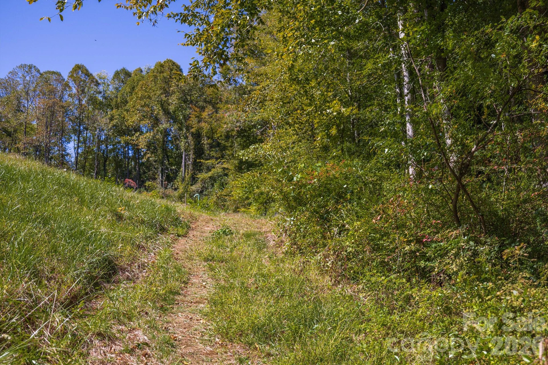 63 Orrinel Way - Photo 44