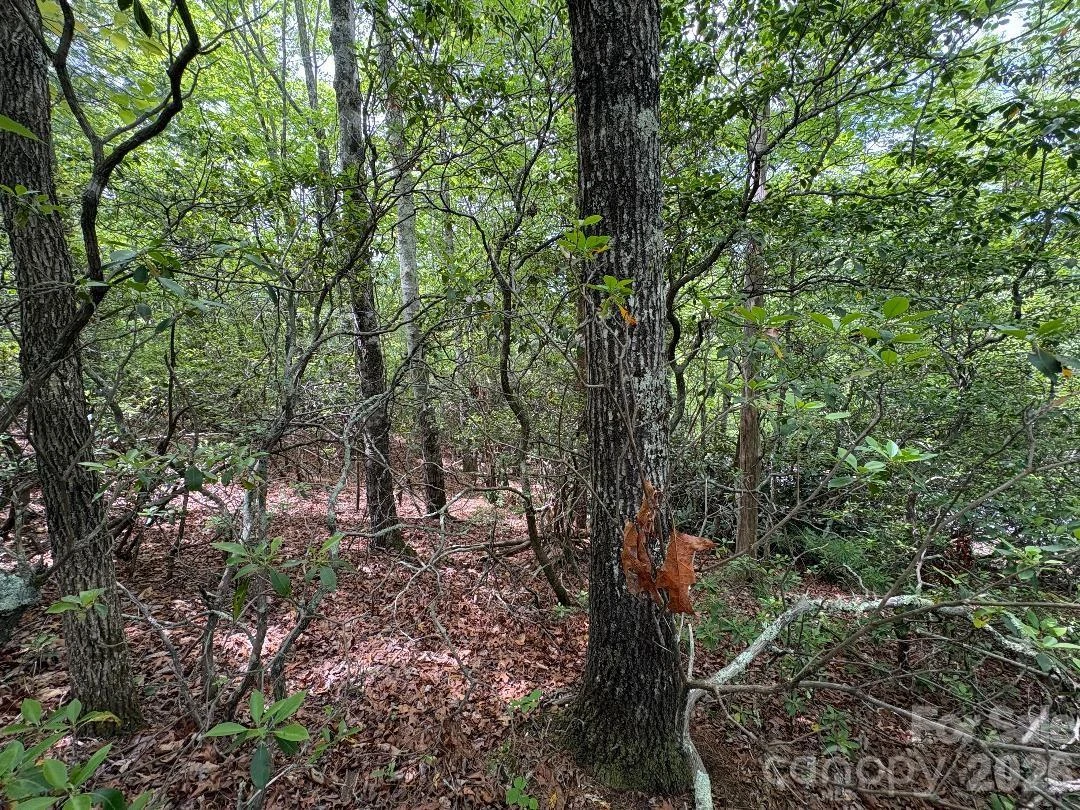 Lot 51B Wilderness Drive - Photo 11