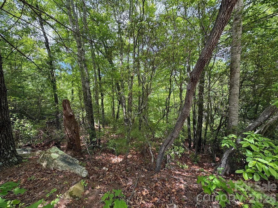 Lot 51B Wilderness Drive - Photo 12