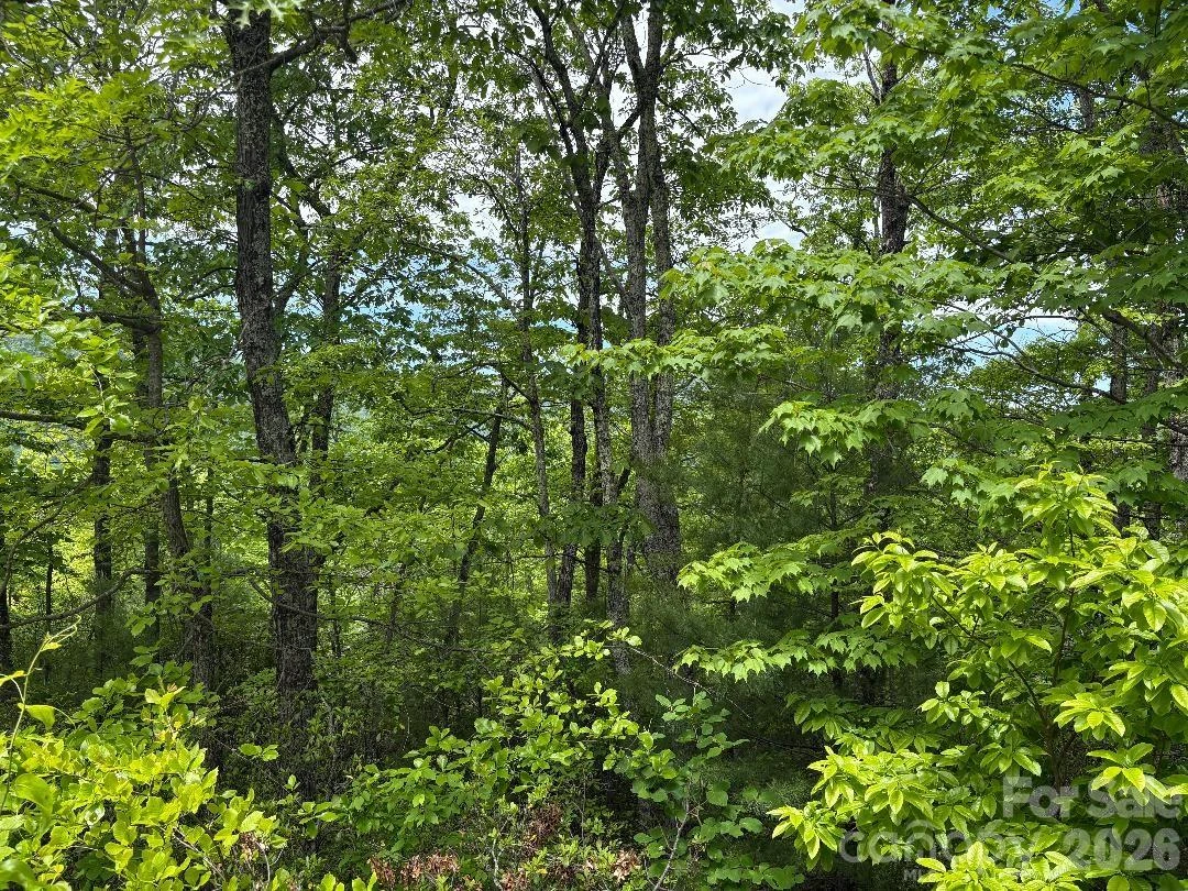 Lot 51B Wilderness Drive - Photo 13