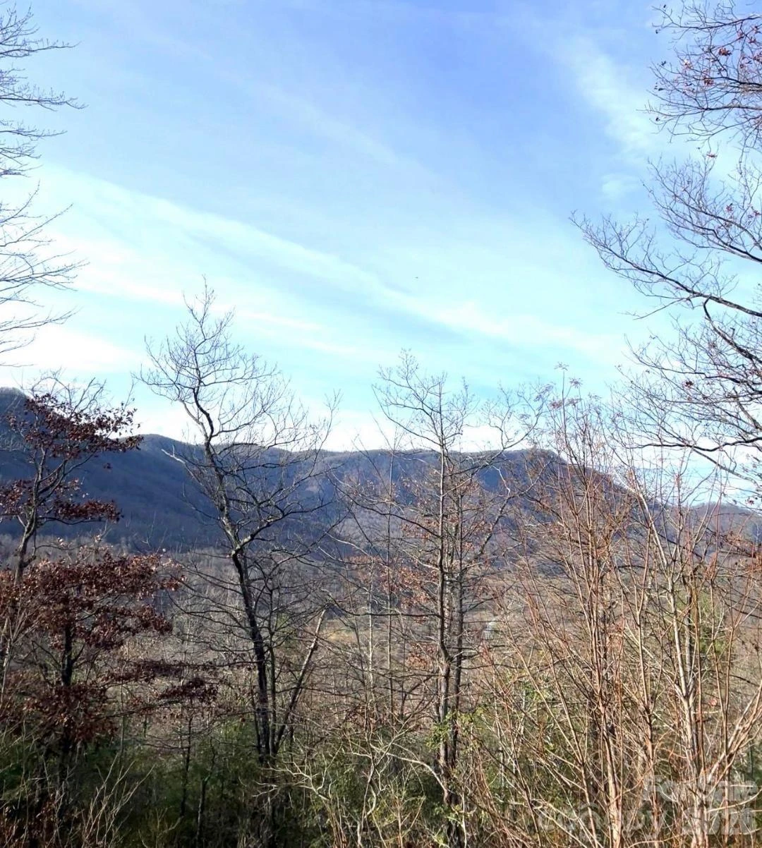 Lot 51B Wilderness Drive - Photo 4