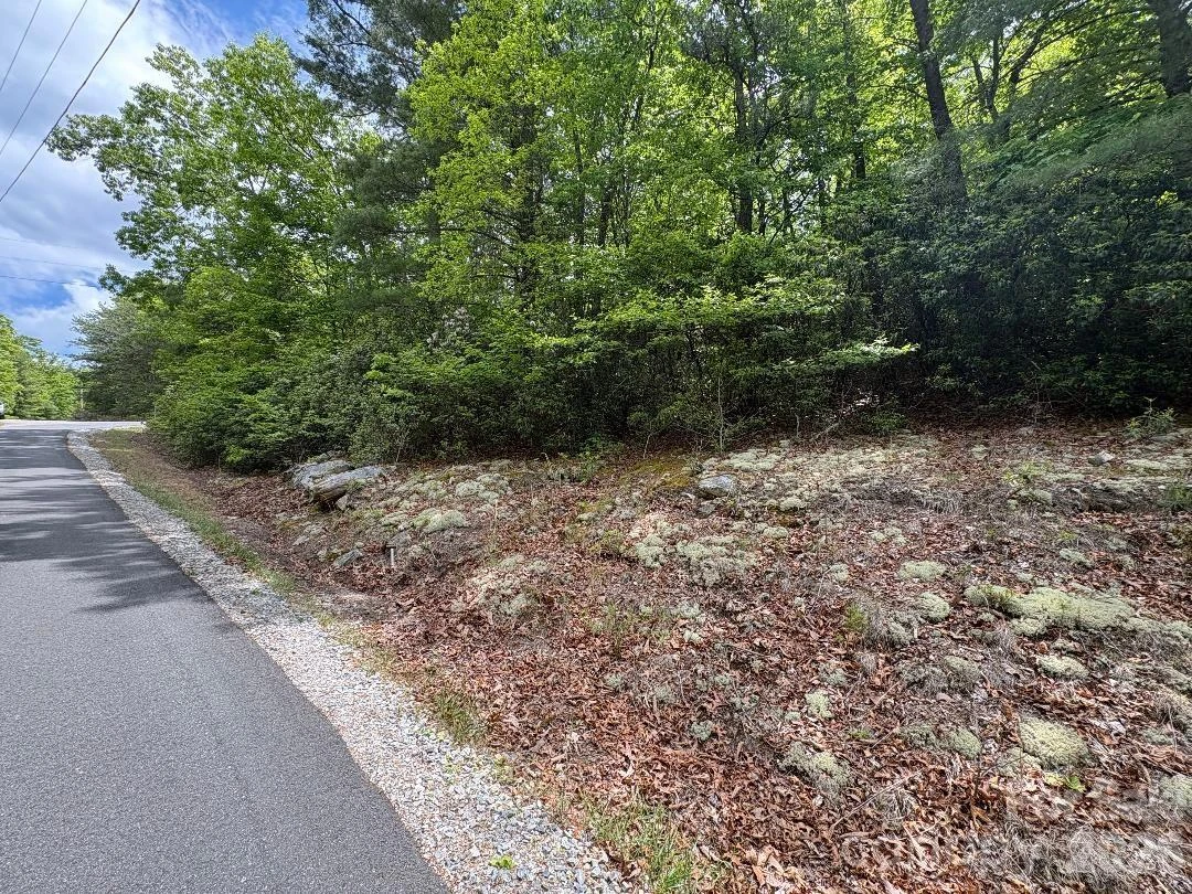 Lot 51B Wilderness Drive - Photo 7