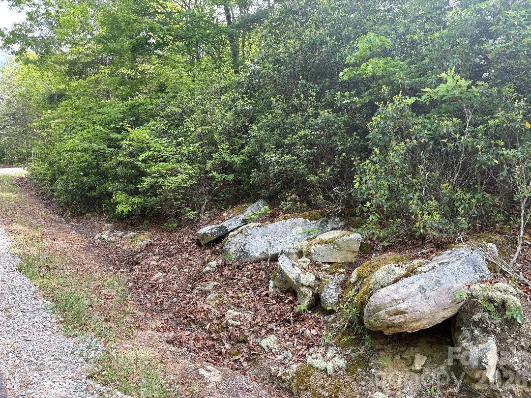 Lot 51B Wilderness Drive - Photo 8