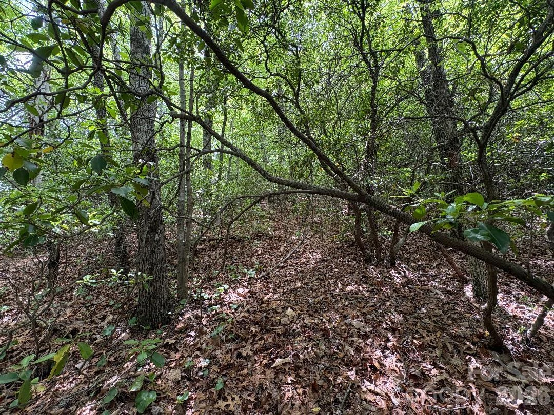 Lot 51B Wilderness Drive - Photo 9