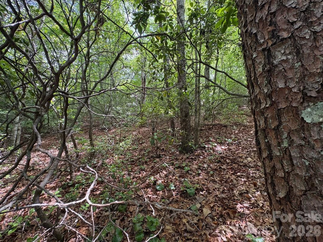 Lot 51B Wilderness Drive - Photo 10