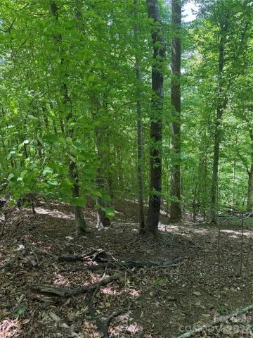 0 Creekside Circle
