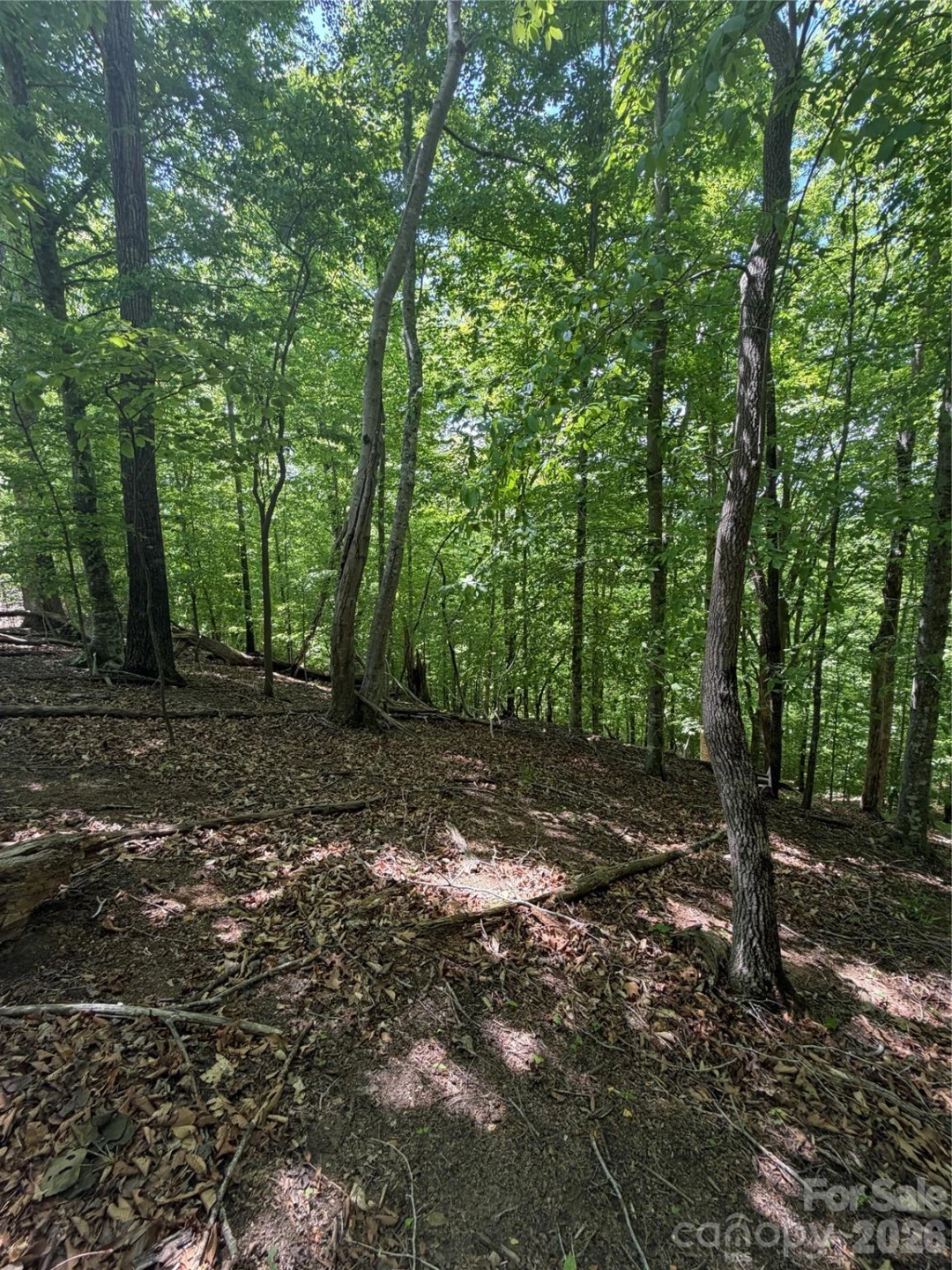0 Creekside Circle #135 - Photo 12