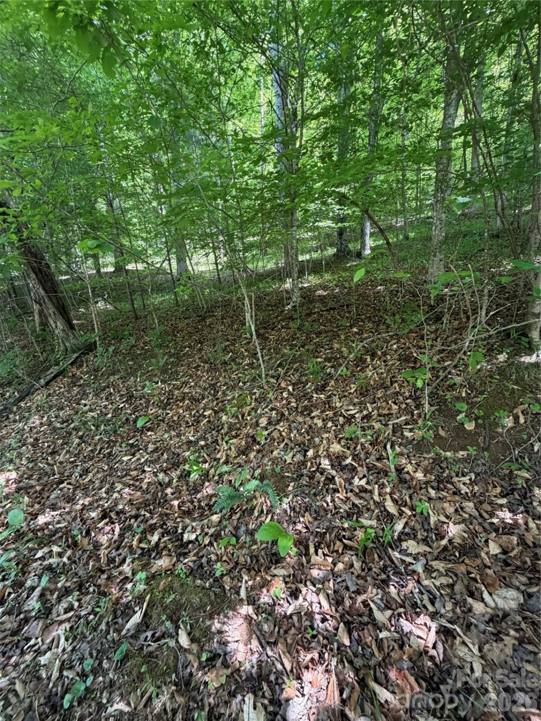 0 Creekside Circle #135 - Photo 7