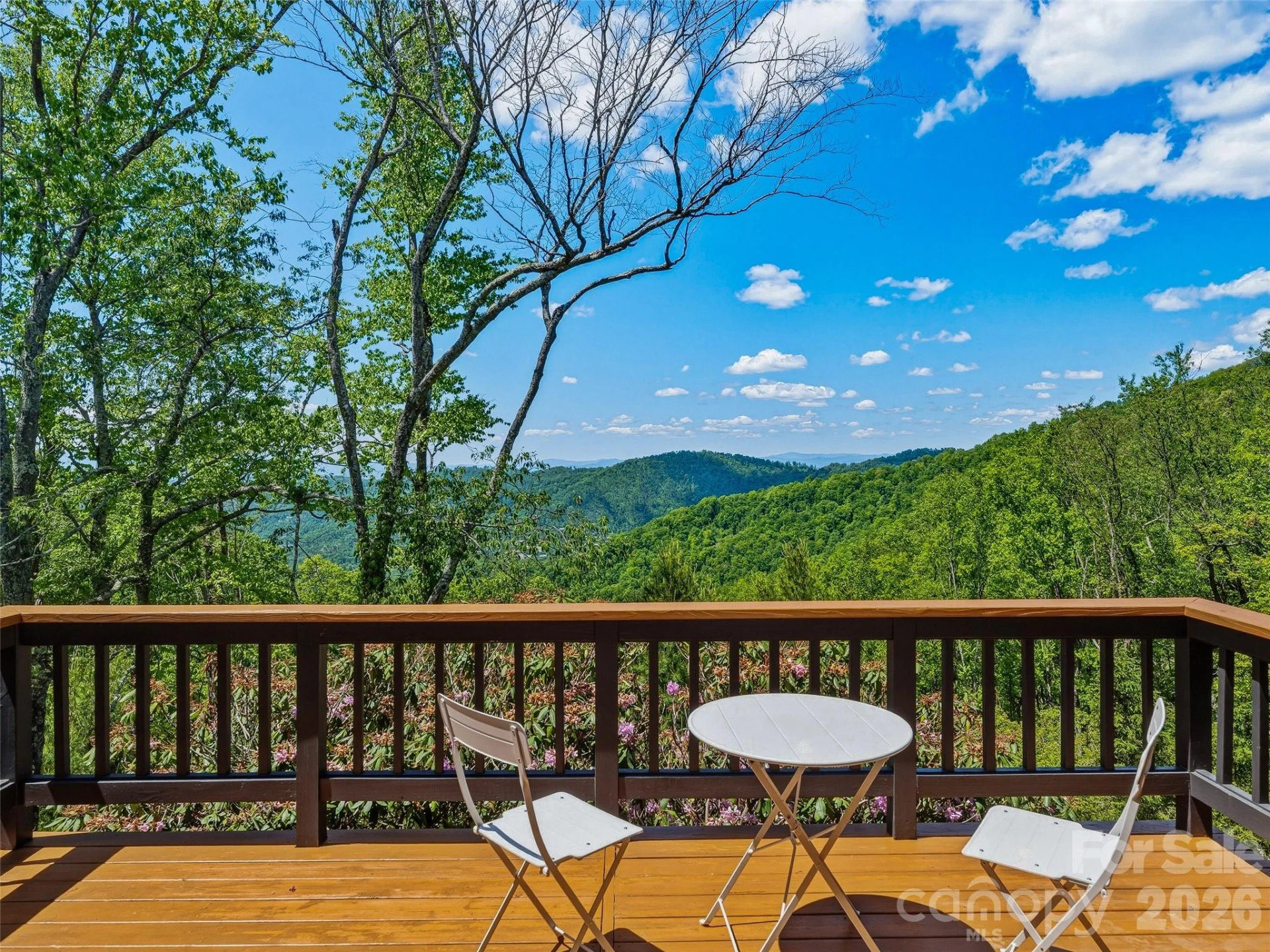 100 Big Spring Drive - Photo 33