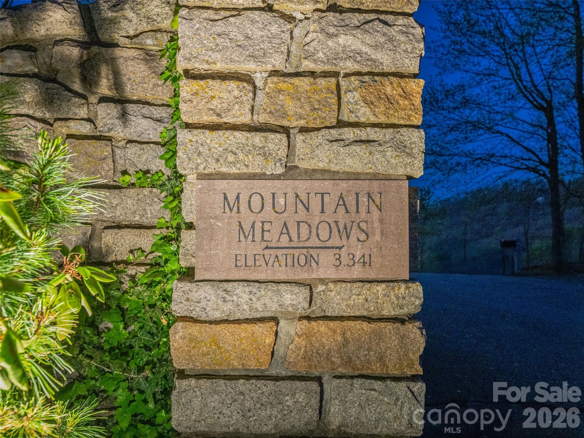 100 Big Spring Drive - Photo 5