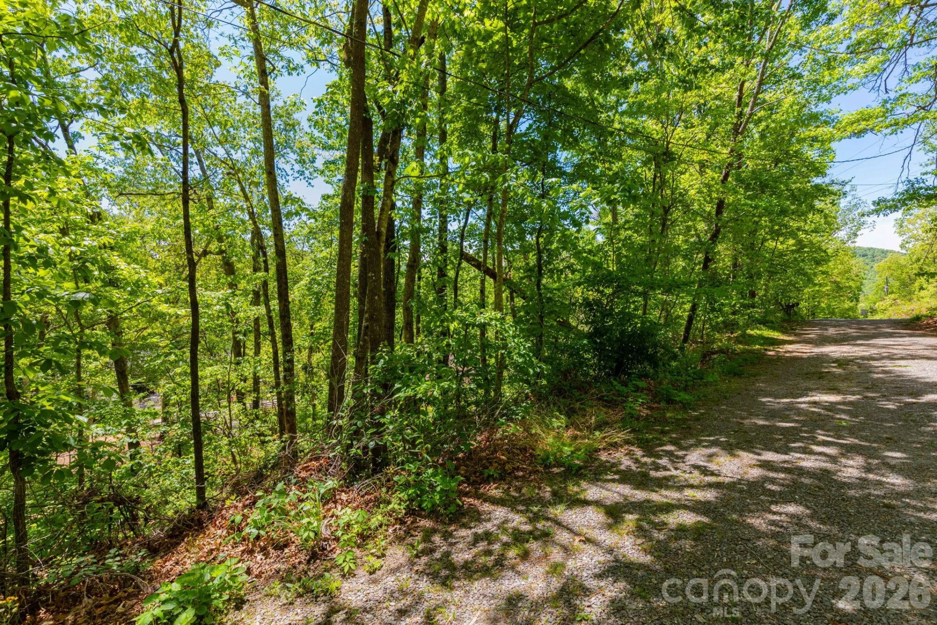 99999 Meeks Road - Photo 8