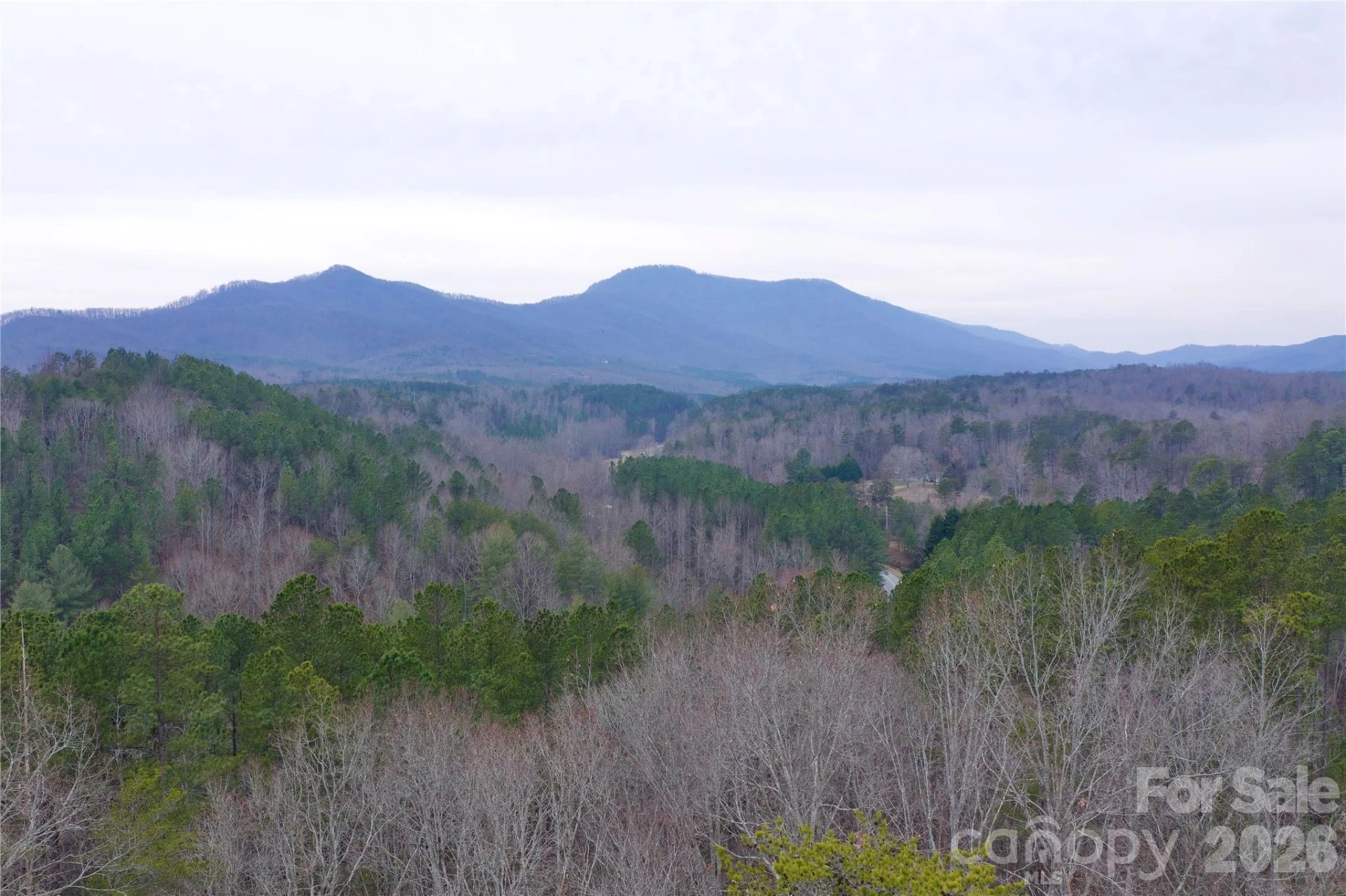 1140 Hwy 9 Highway - Photo 4