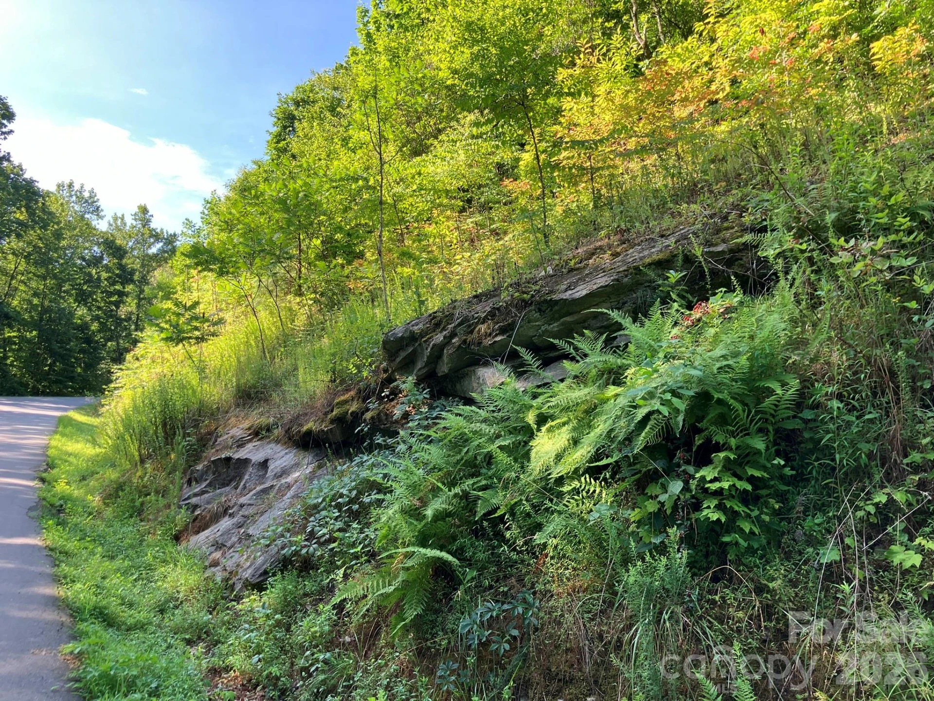 0 Grey Rock Parkway #250 - Photo 11
