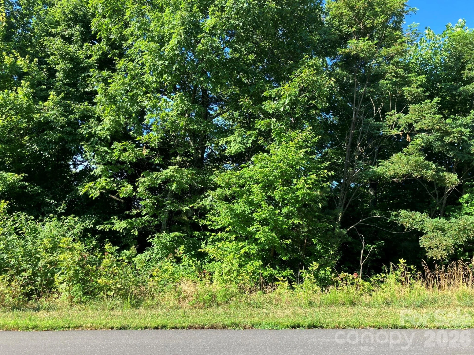 0 Grey Rock Parkway #250 - Photo 16