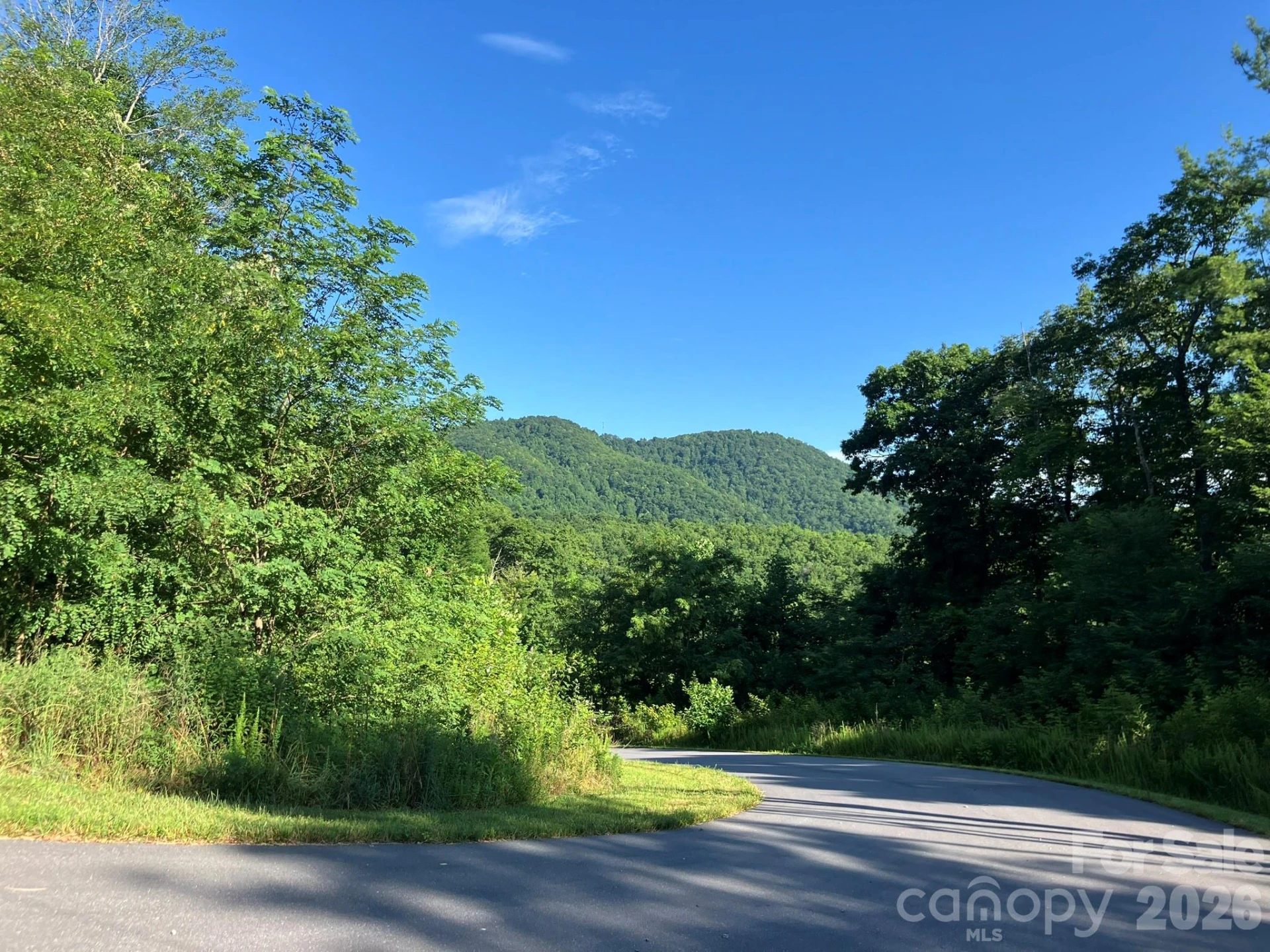 0 Grey Rock Parkway #250 - Photo 6