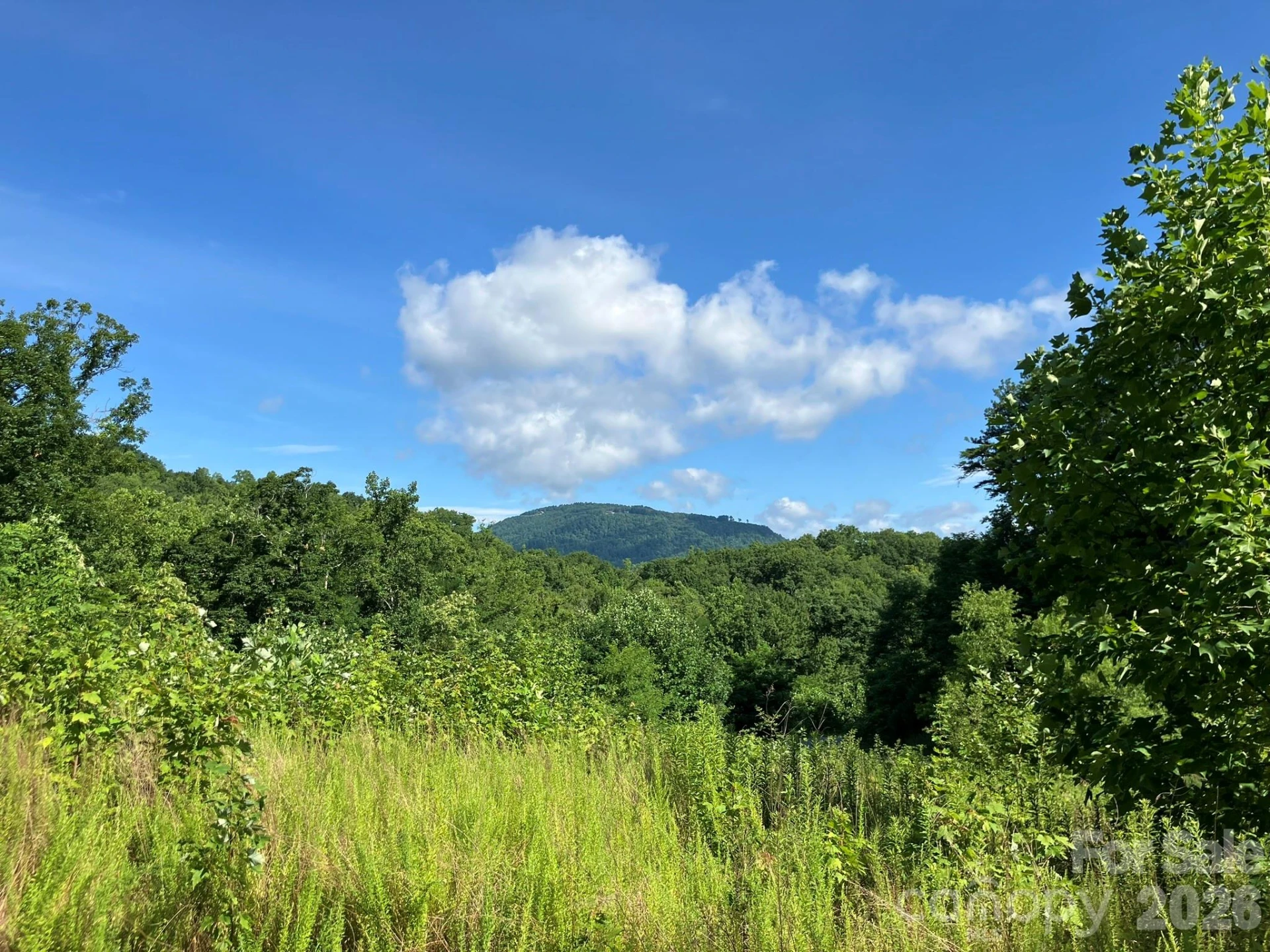 0 Grey Rock Parkway #250 - Photo 9