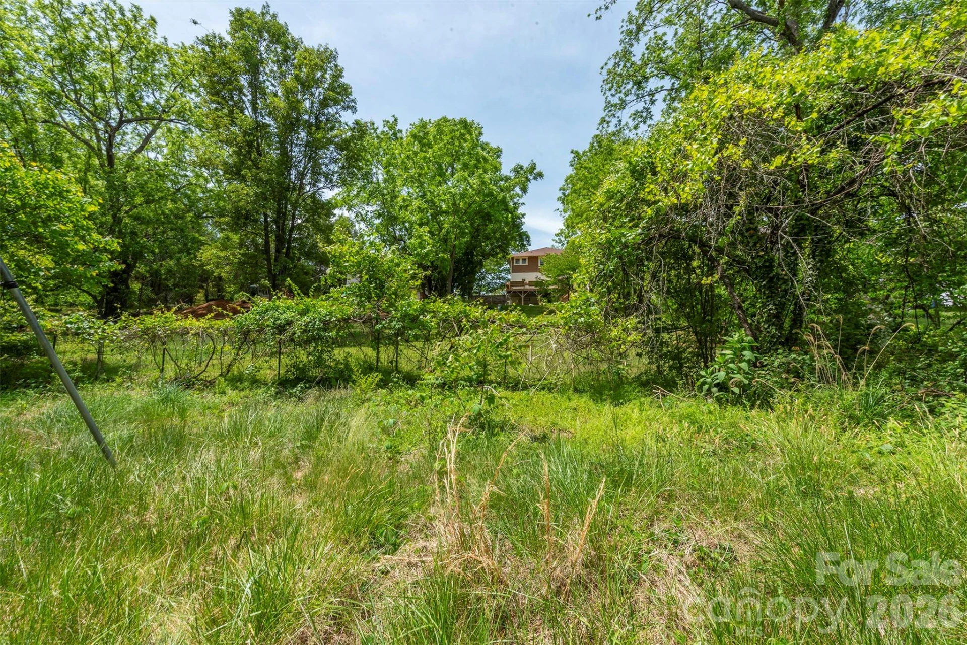 15 Greeley Street - Photo 7