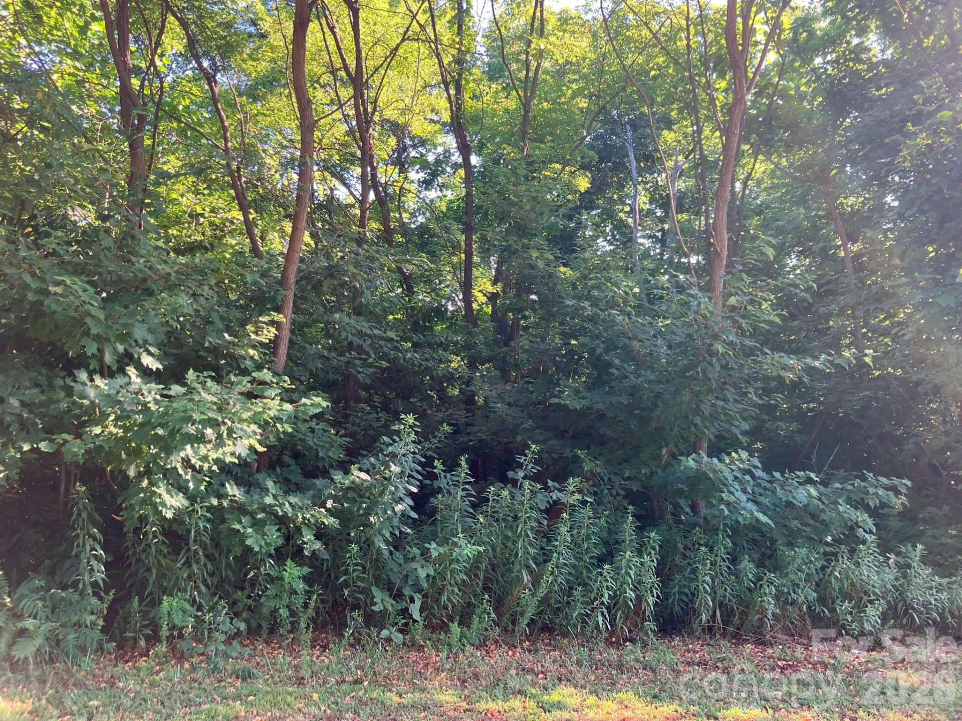 0 Grey Rock Parkway #225 - Photo 15