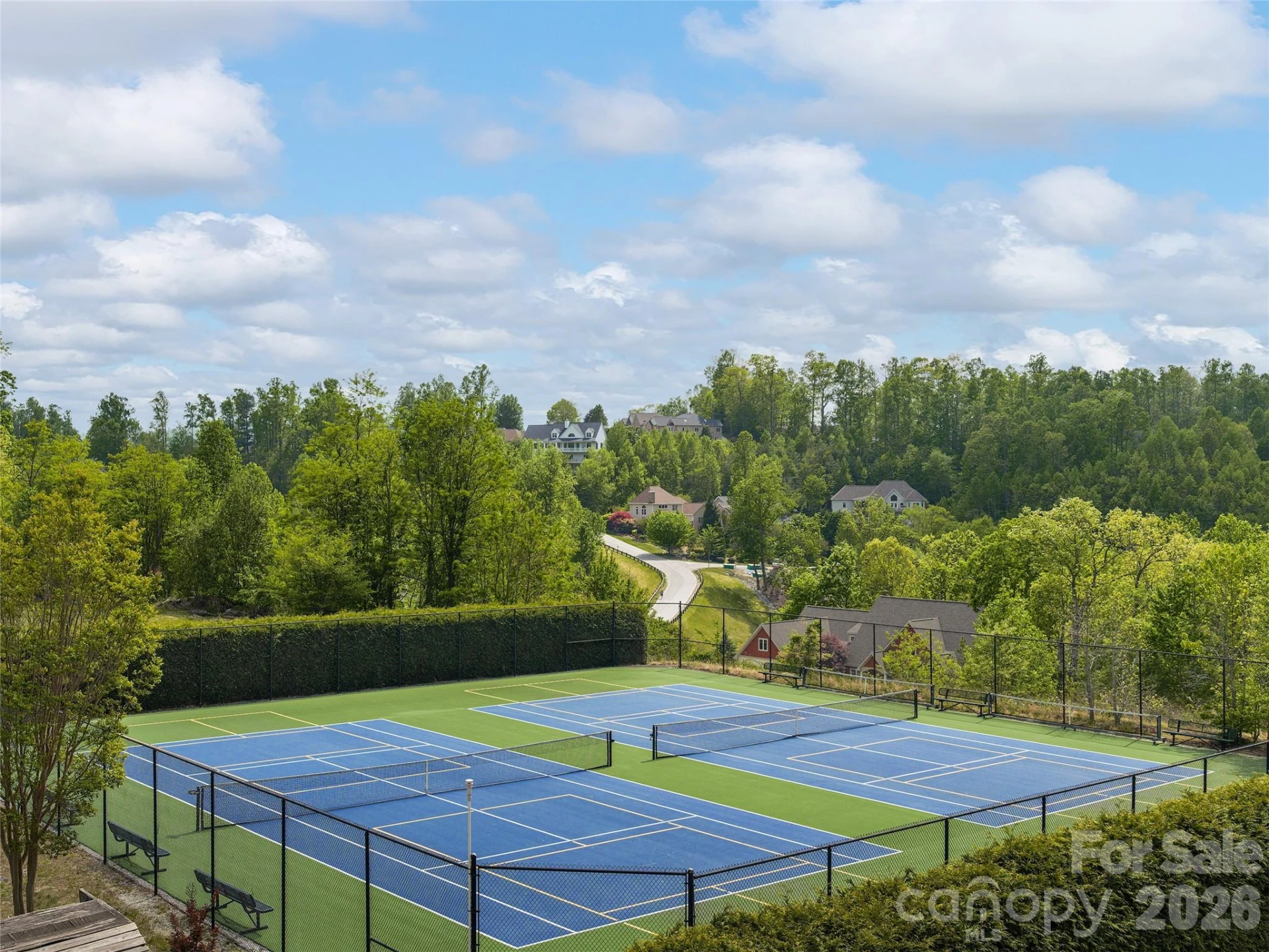 1403 Woodsong Drive - Photo 8