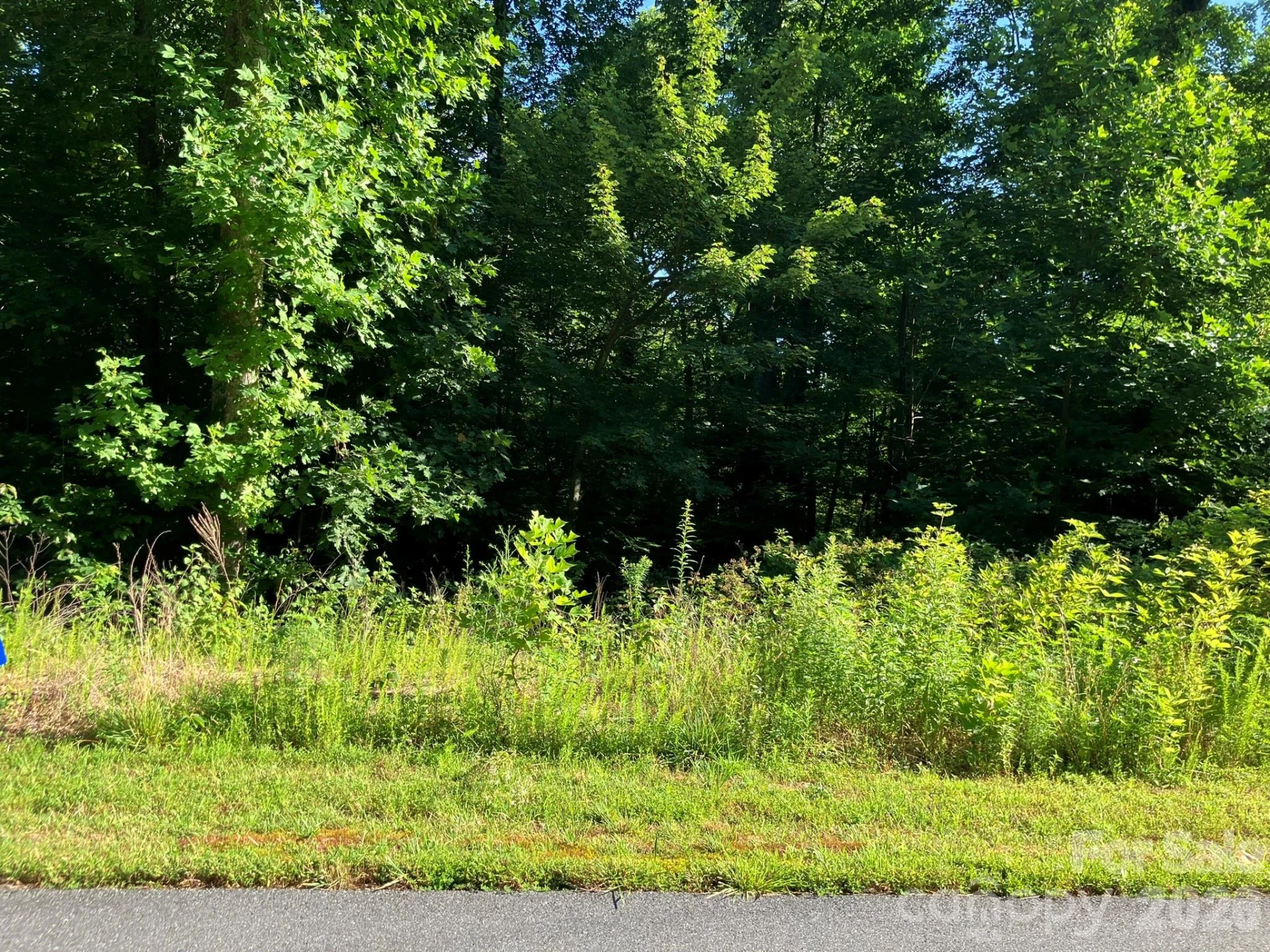0 Rolling Ridge Trail #315 - Photo 14