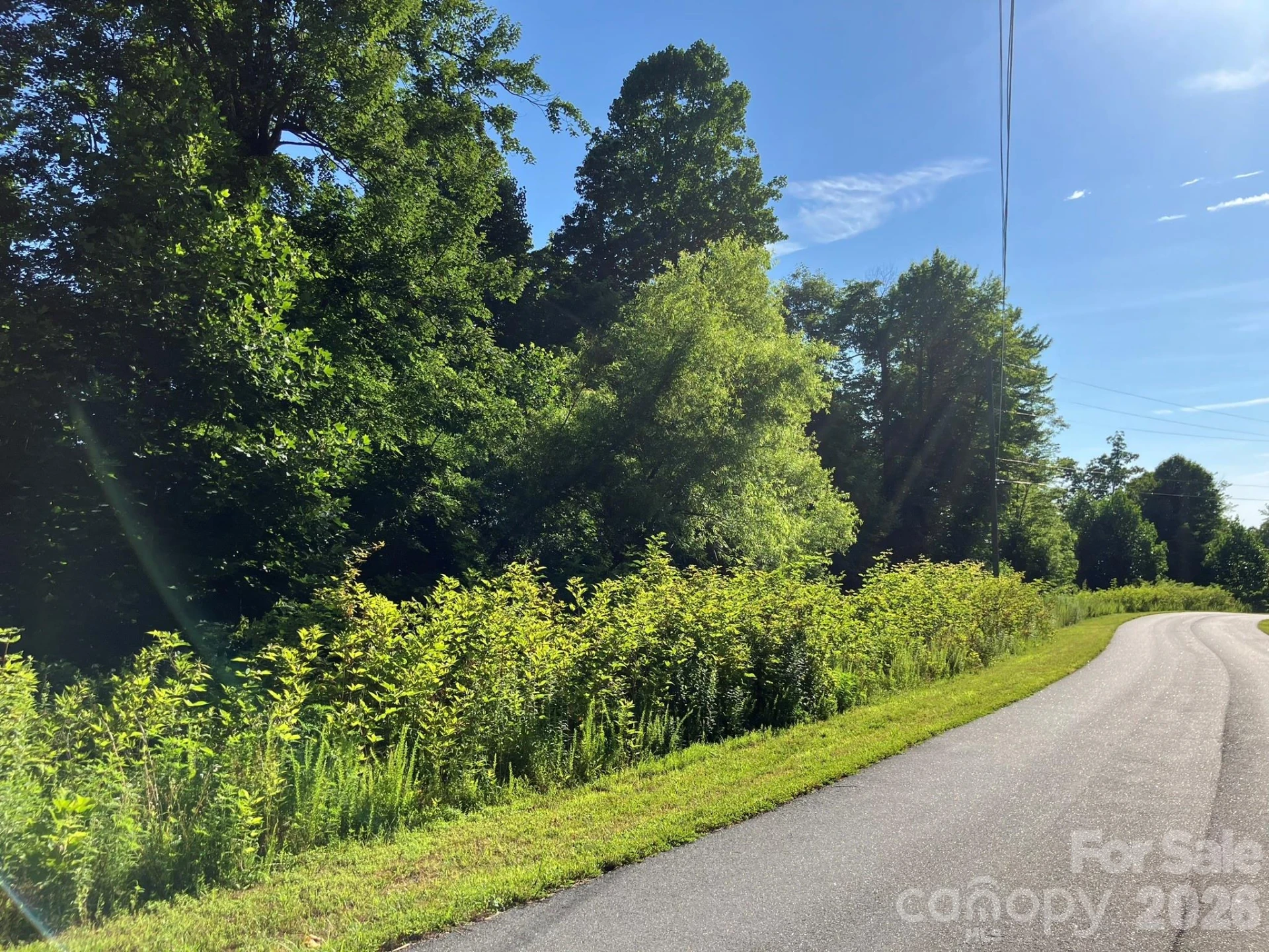 0 Rolling Ridge Trail #315 - Photo 15
