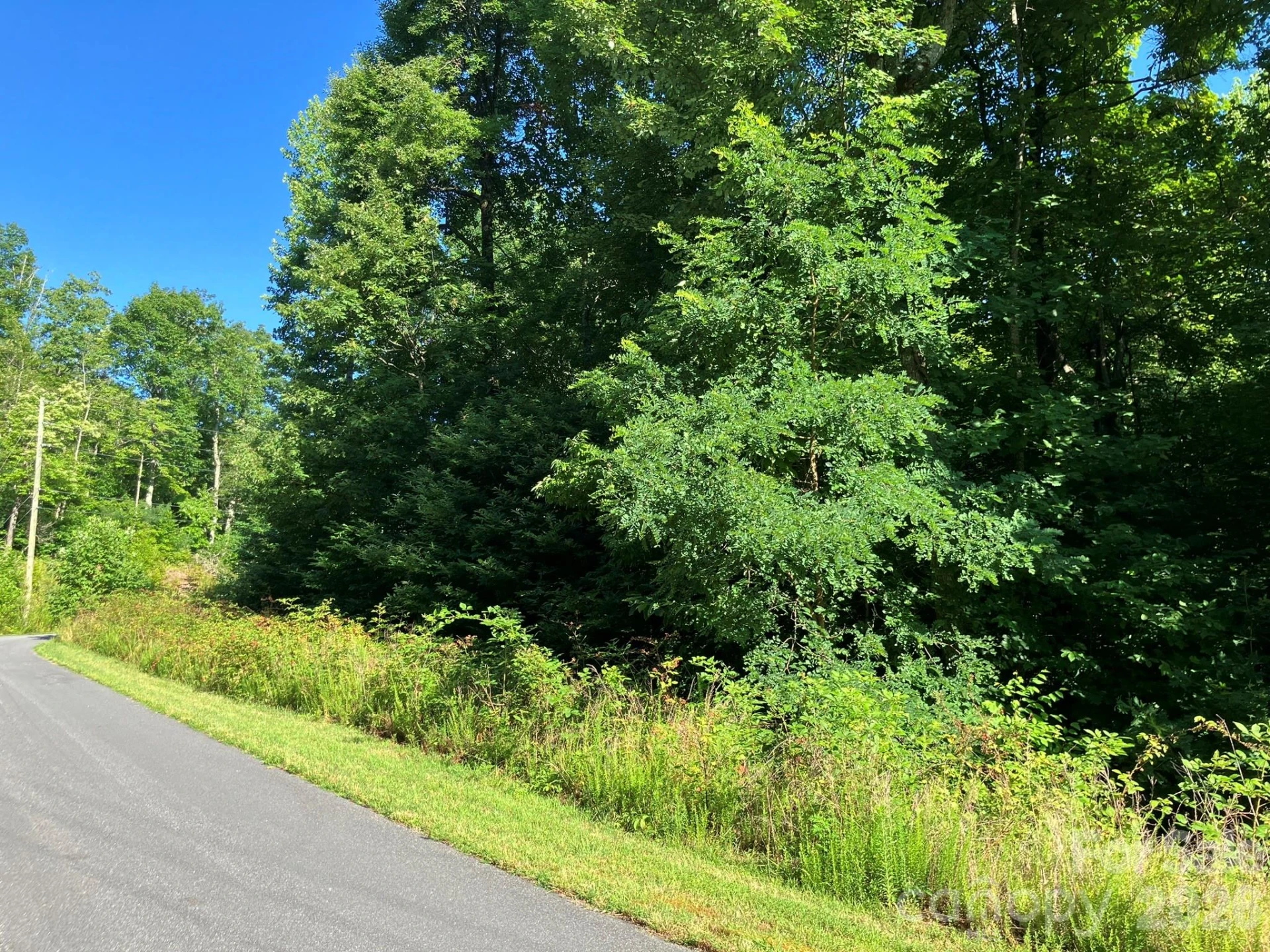0 Rolling Ridge Trail #315 - Photo 16