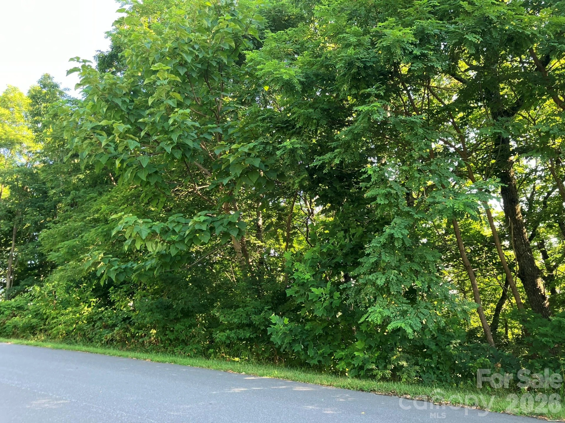 0 Grey Rock Parkway #271 - Photo 14