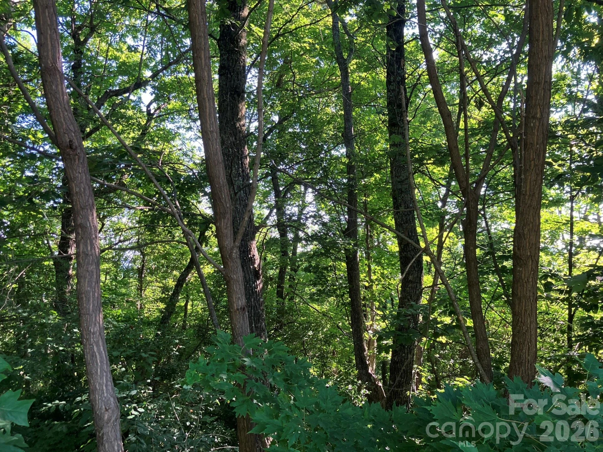 0 Grey Rock Parkway #271 - Photo 15