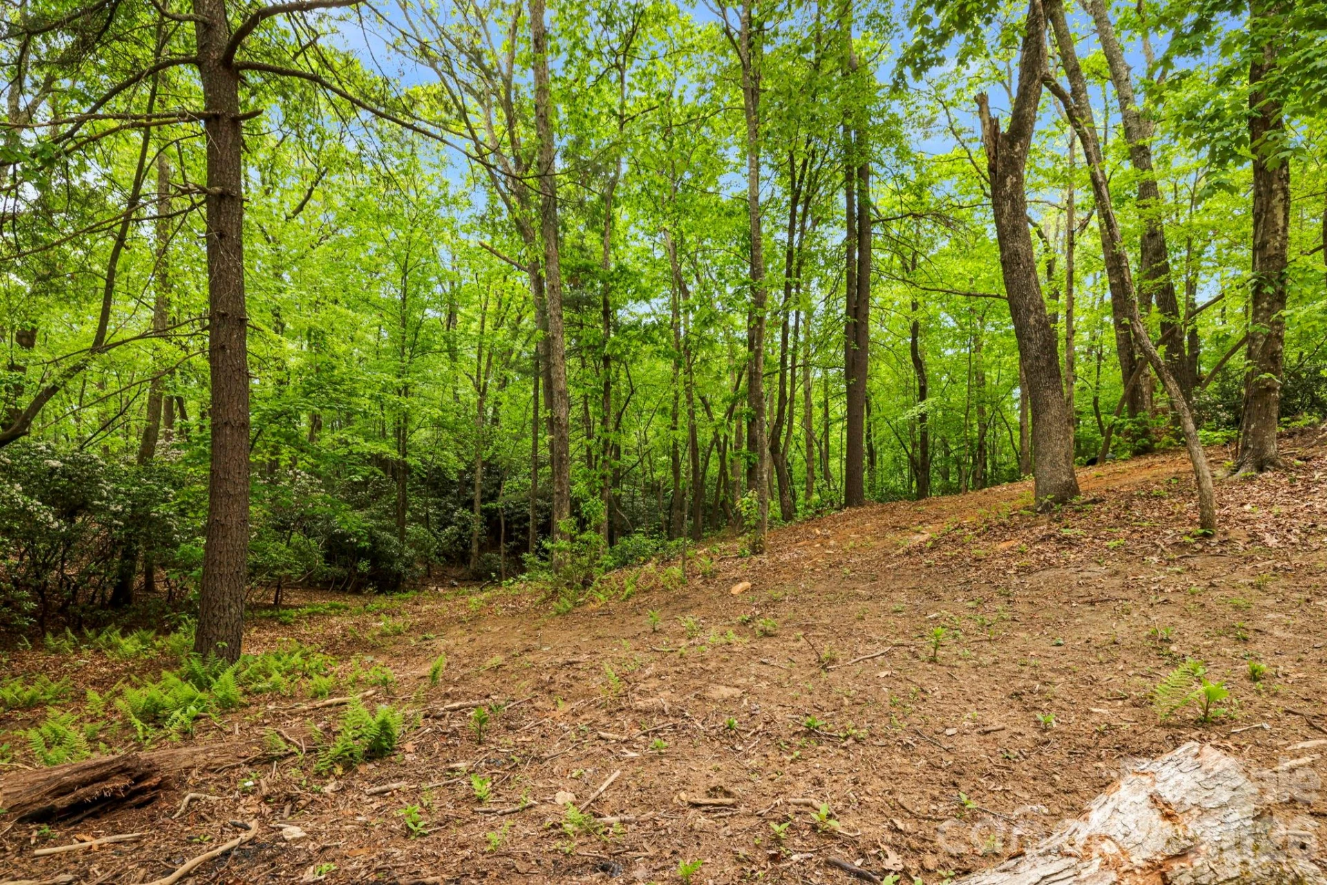 137 Bird Song Road #3 - Photo 11