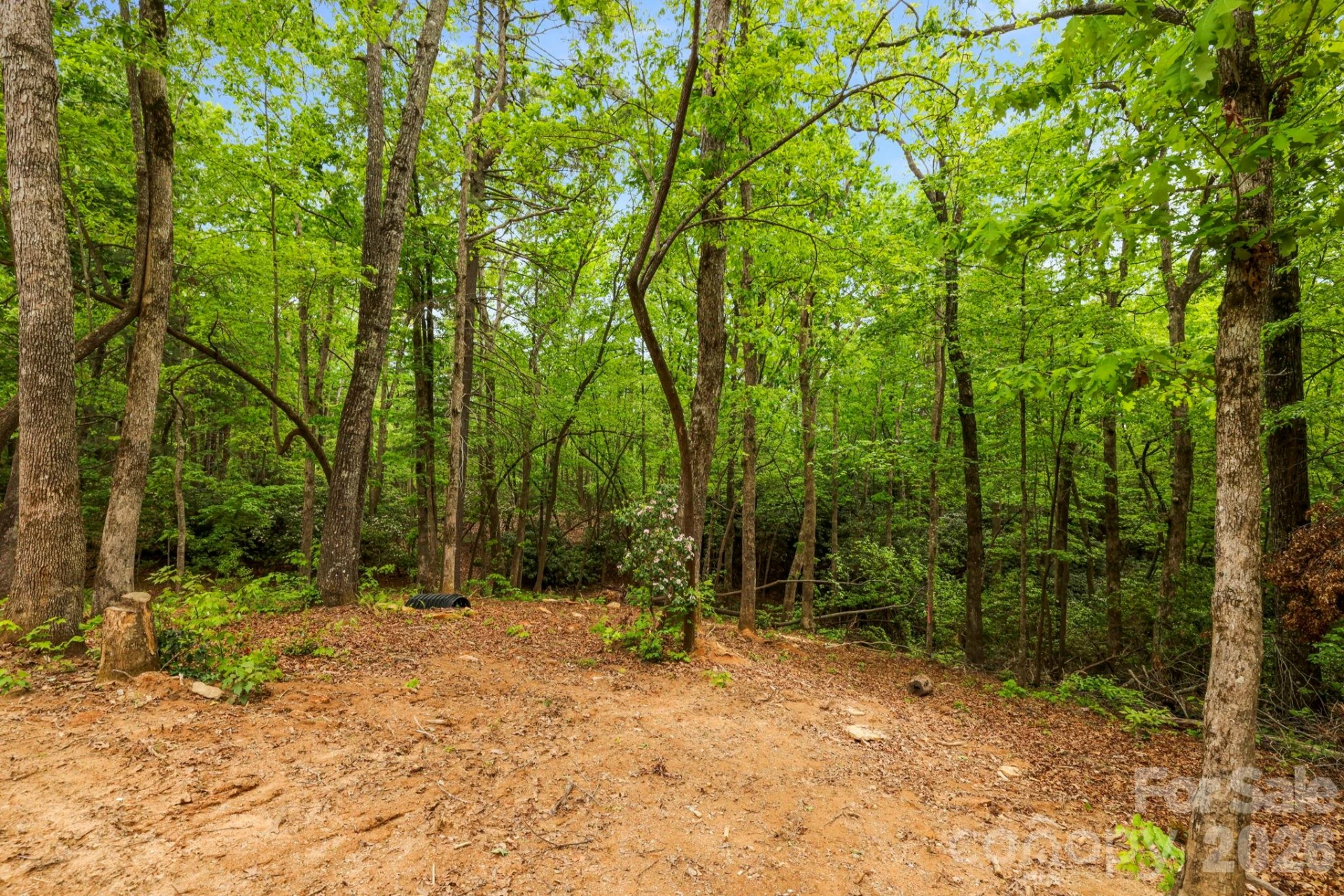 137 Bird Song Road #3 - Photo 13