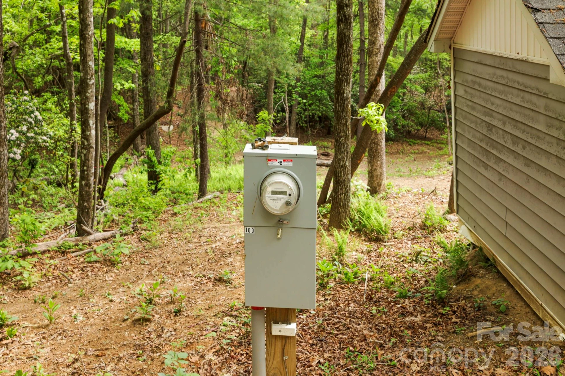 137 Bird Song Road #3 - Photo 14