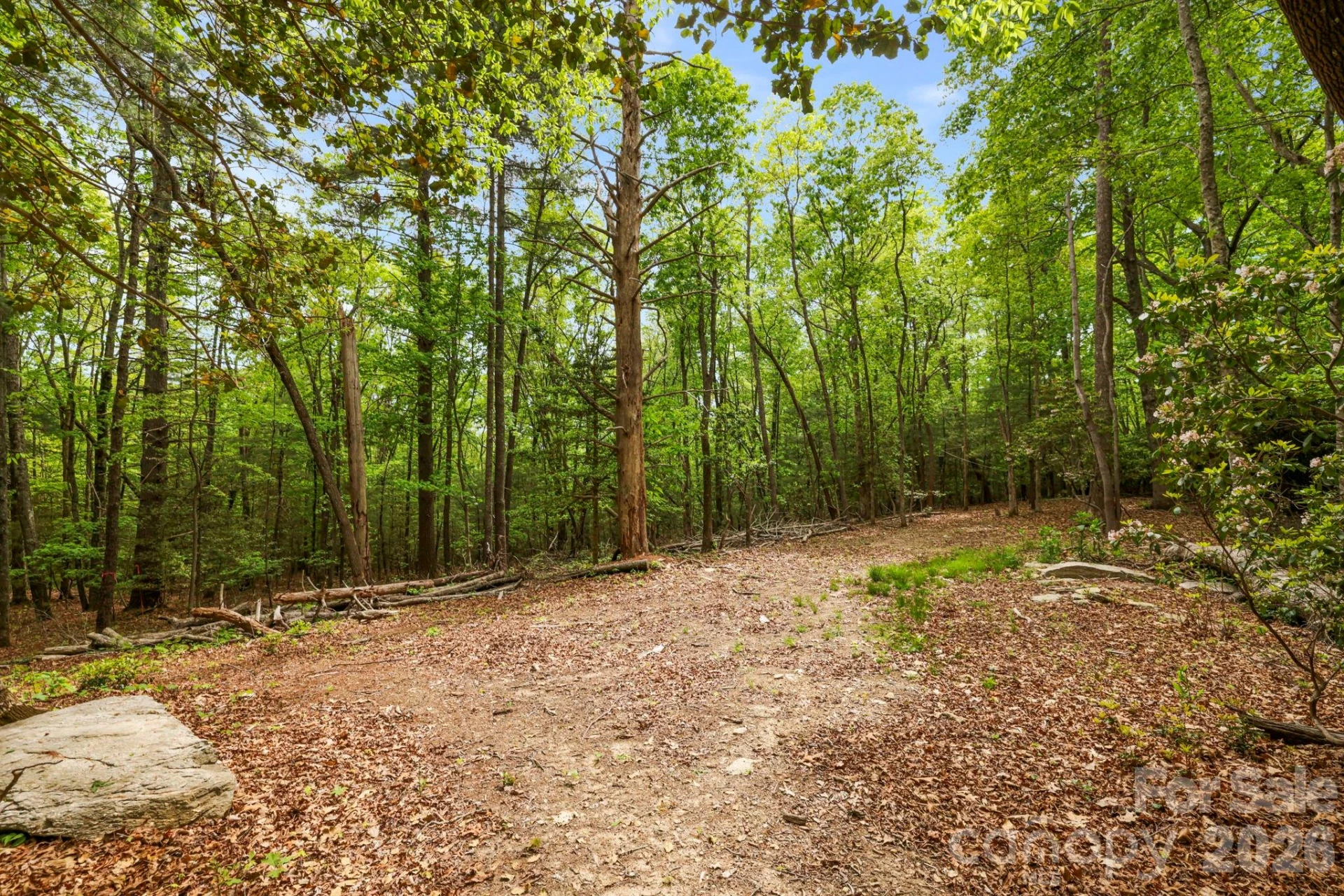 137 Bird Song Road #3 - Photo 15