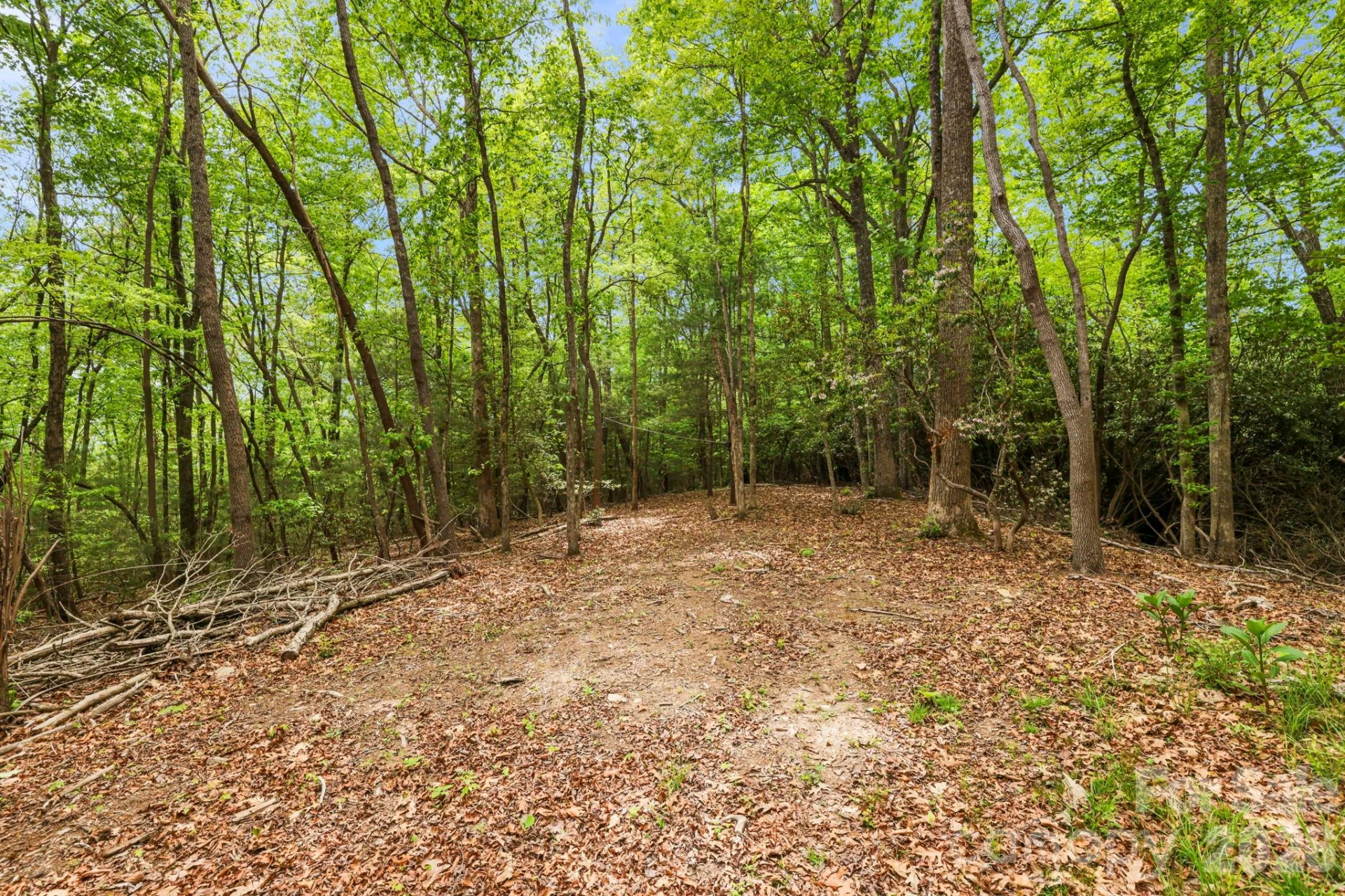 137 Bird Song Road #3 - Photo 16