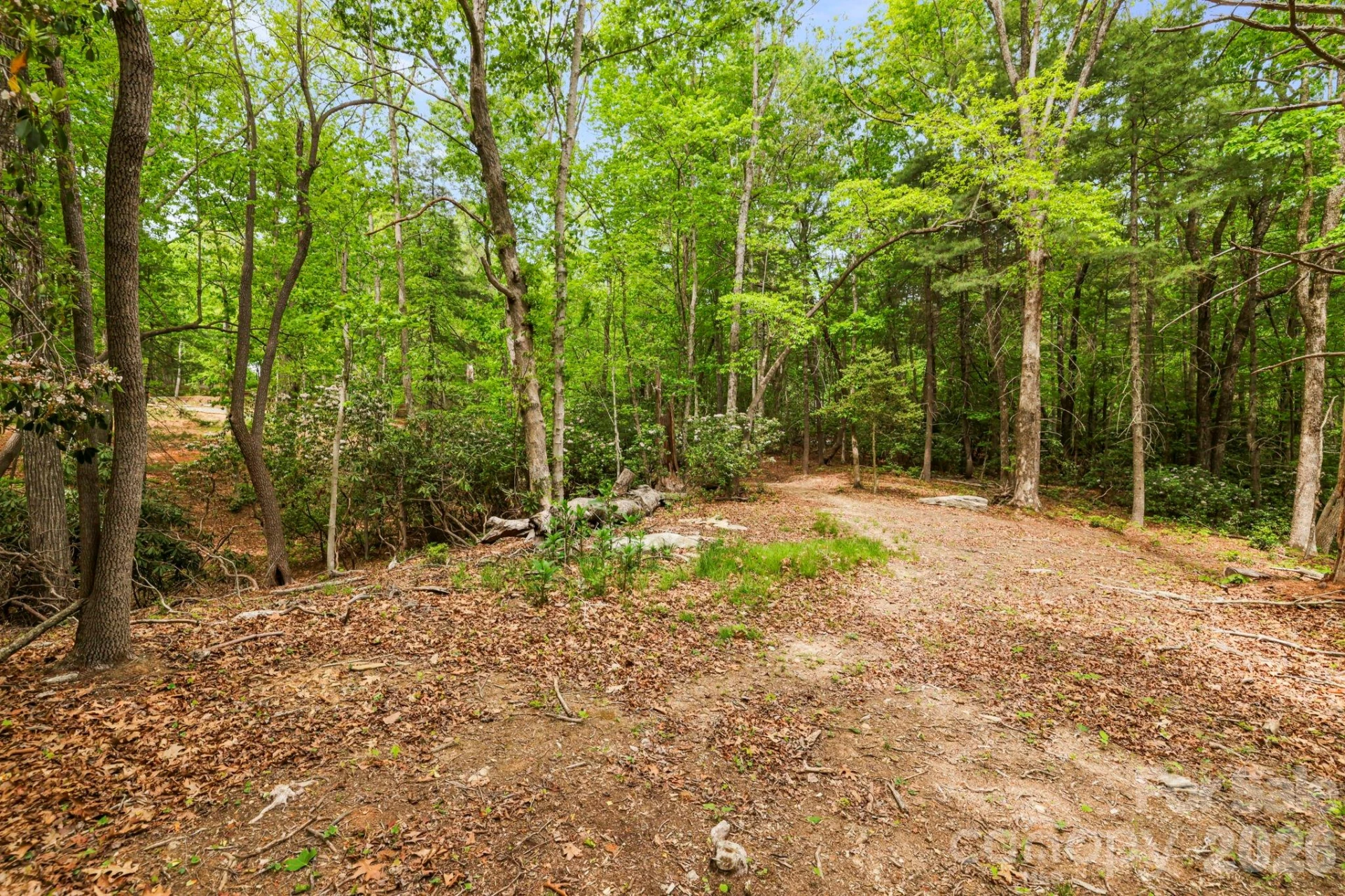 137 Bird Song Road #3 - Photo 17