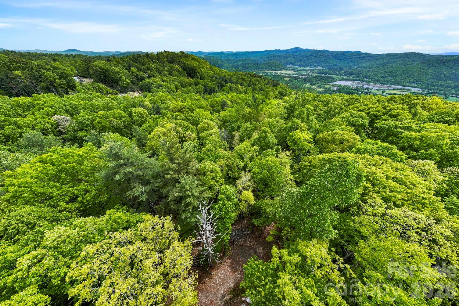 137 Bird Song Road #3 - Photo 19
